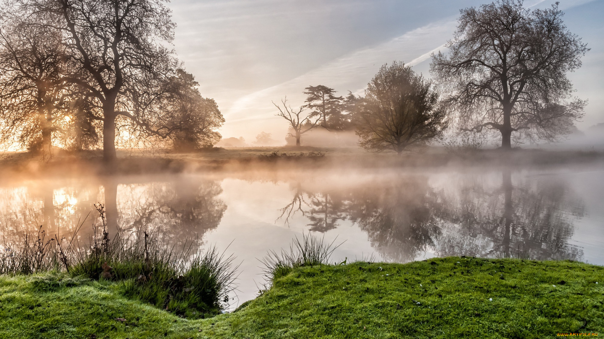 природа, реки, озера, туман, река