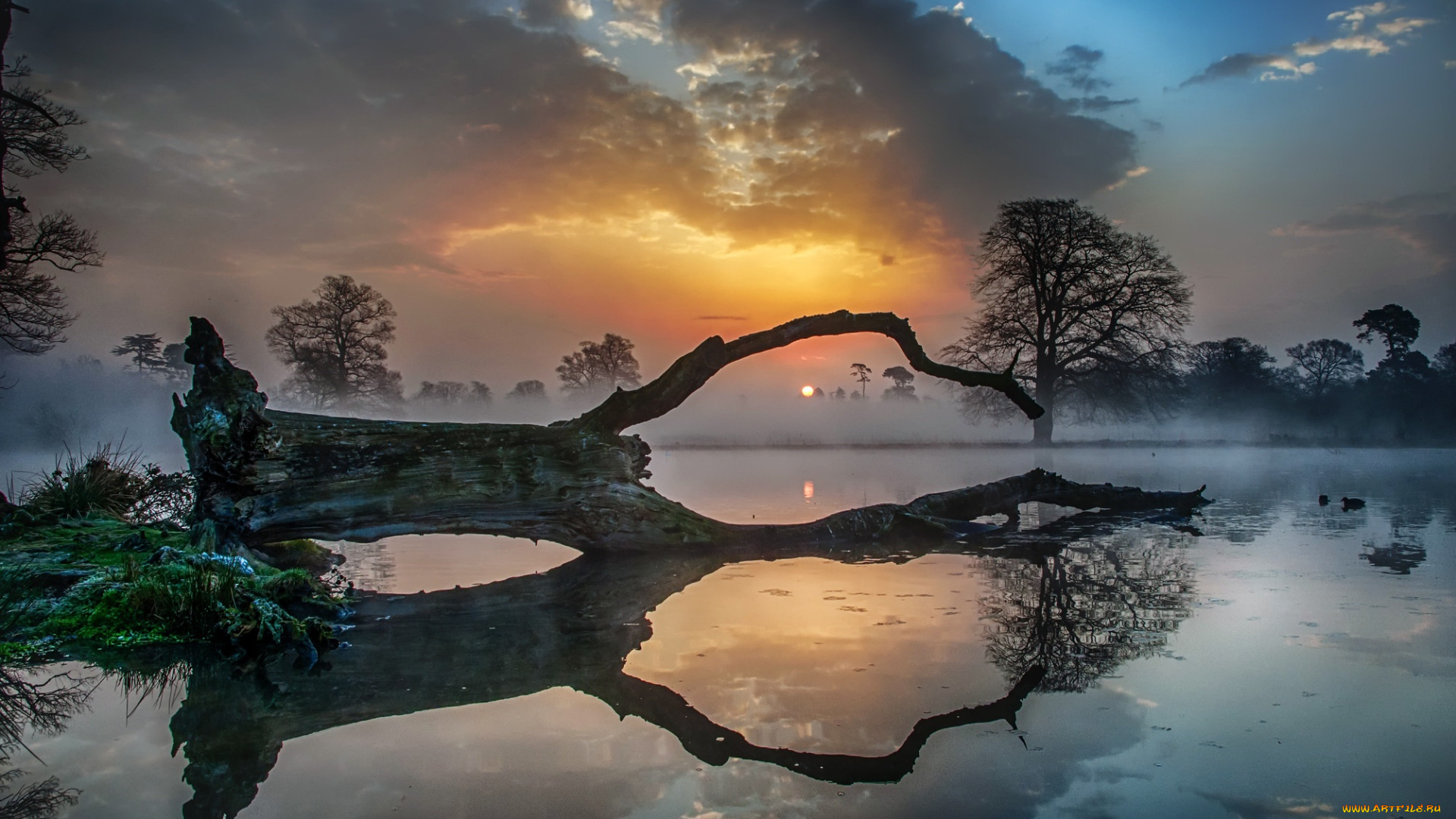 природа, восходы, закаты, озеро, закат, деревья