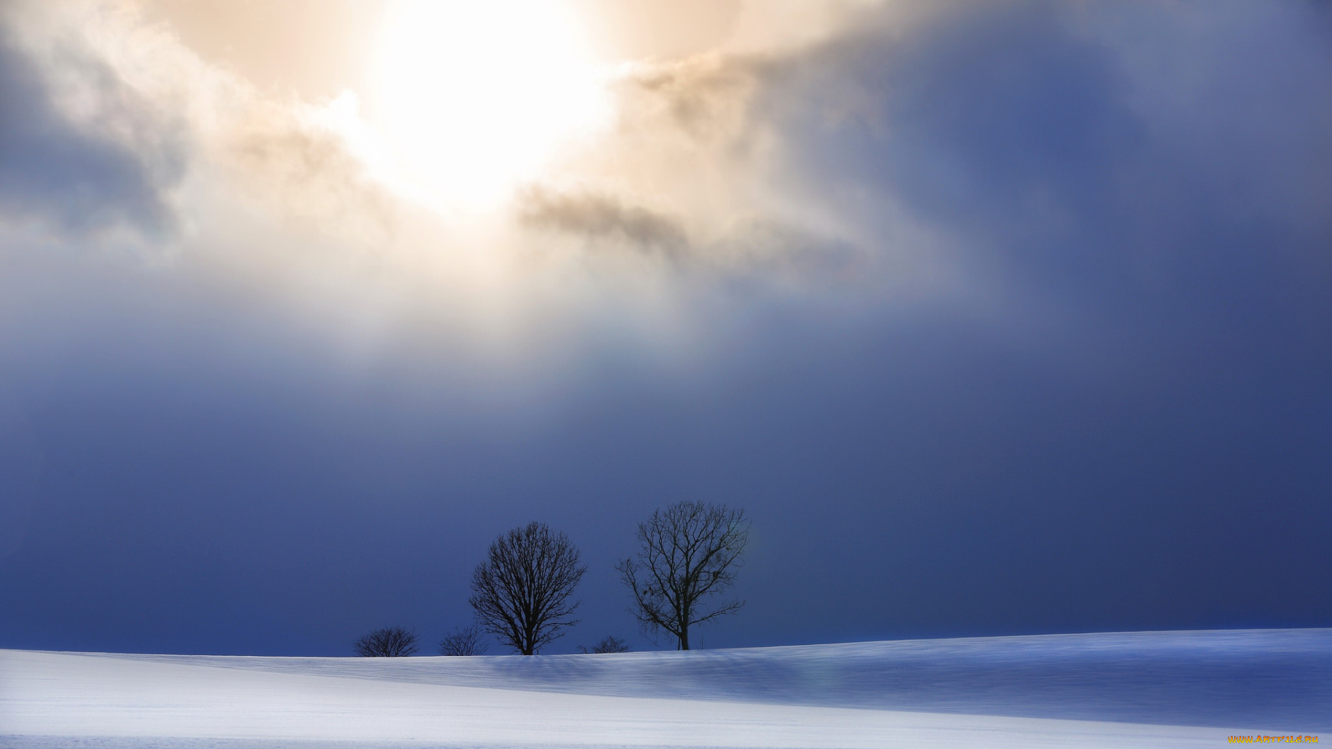 природа, зима, снег, деревья