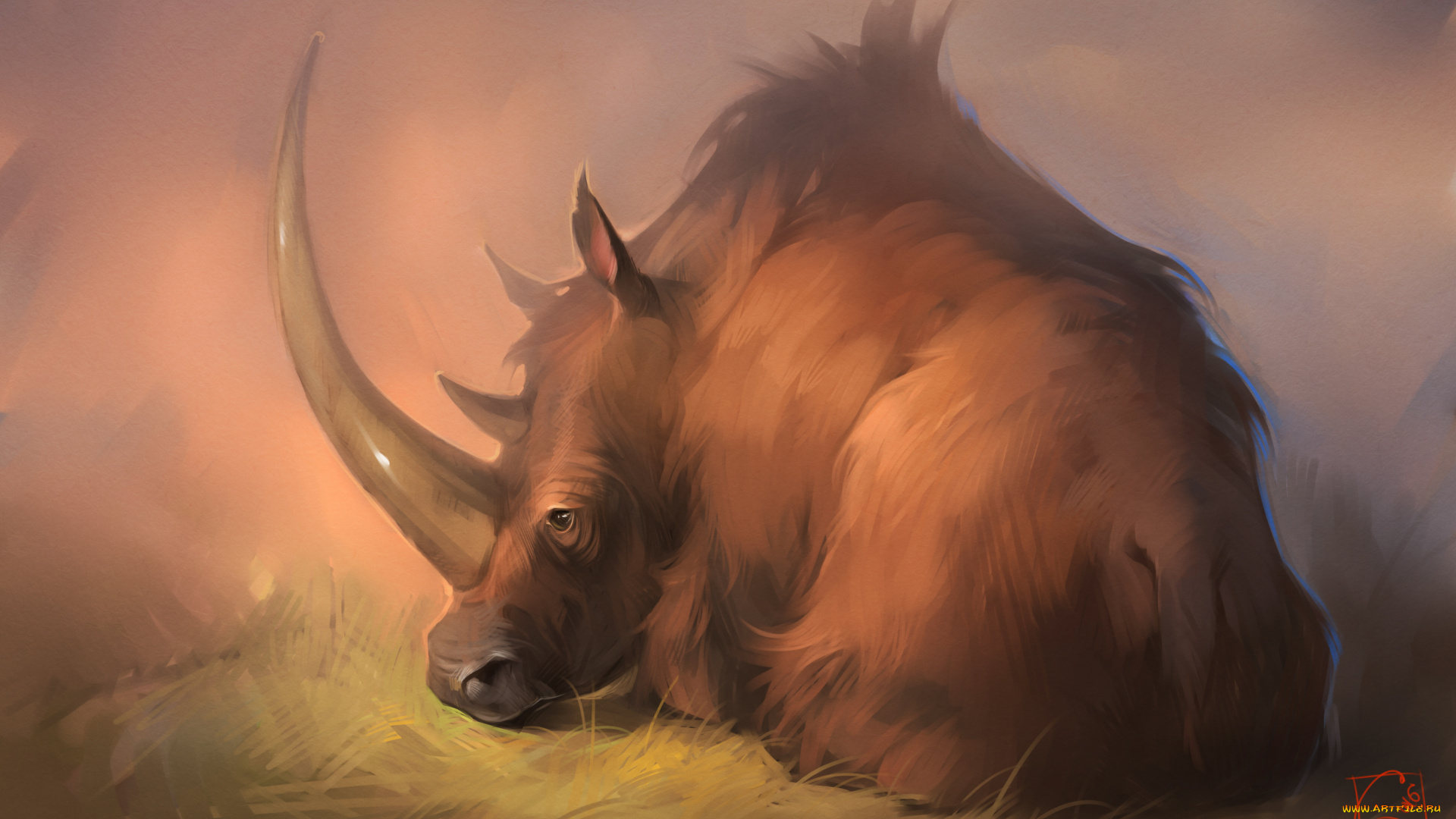 рисованное, животные, , носороги, gaudibuendia