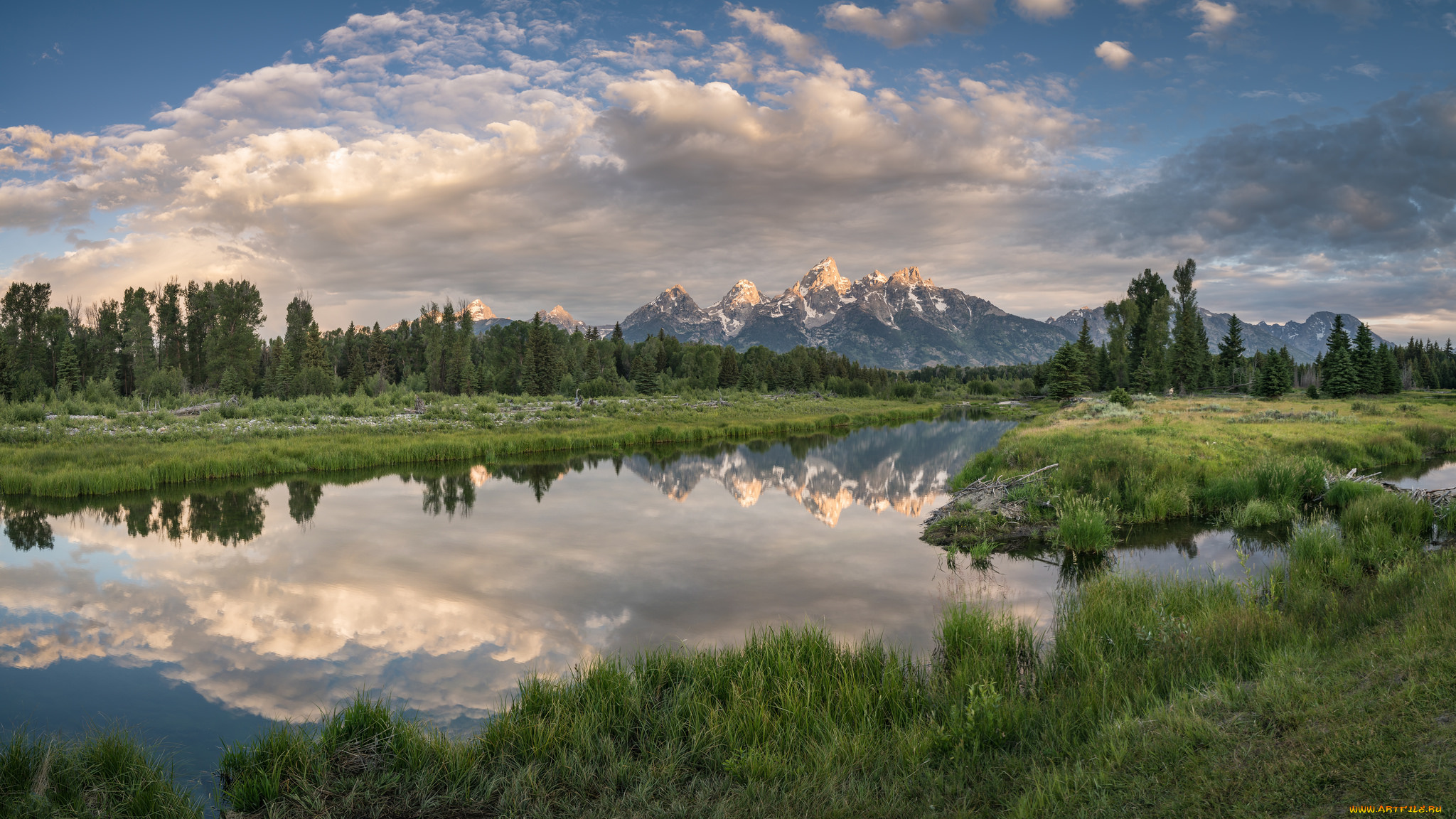 природа, реки, озера, река, лес