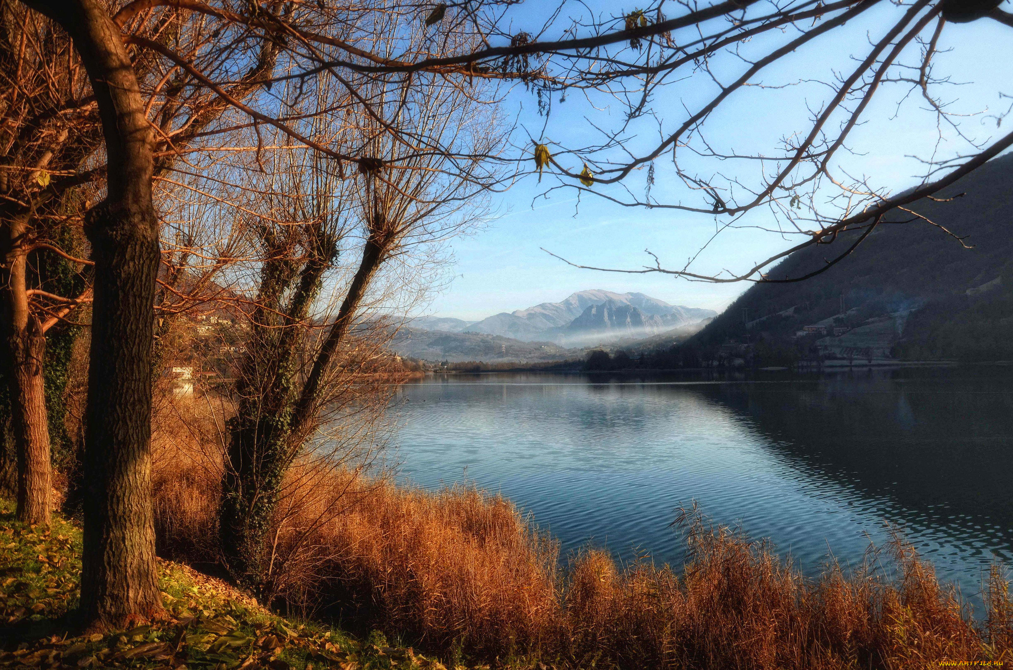 природа, реки, озера, река, лес