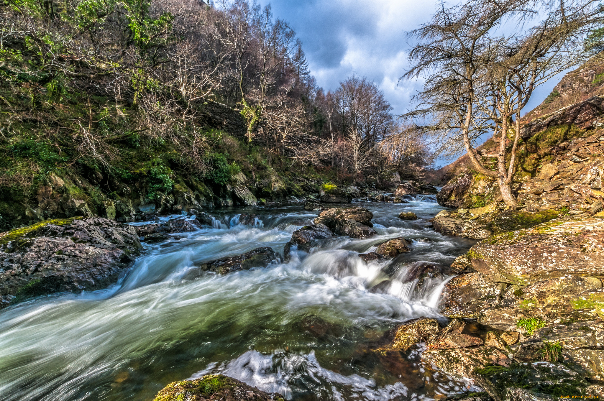 природа, реки, озера, река, лес