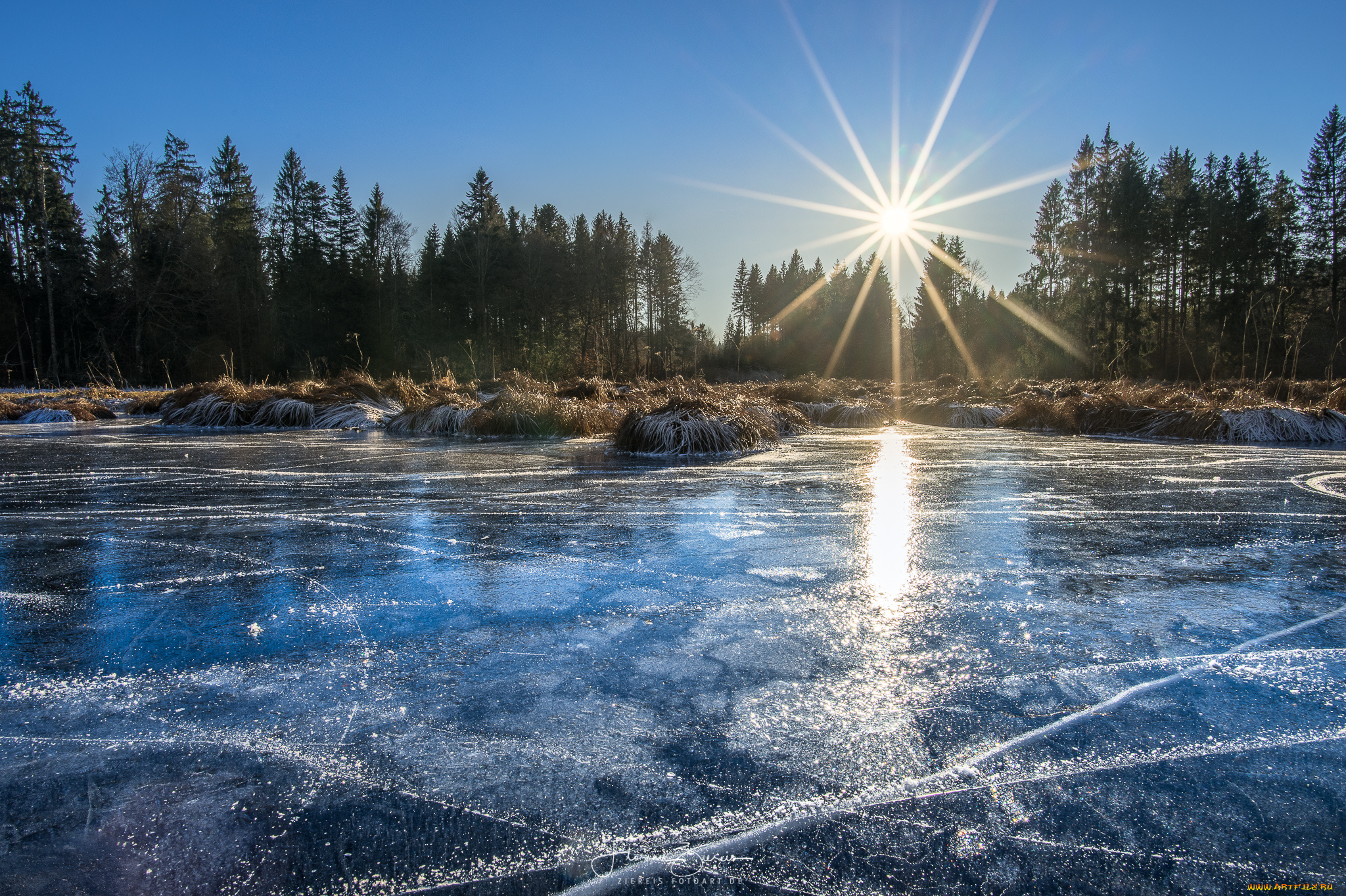 природа, реки, озера, лес, река