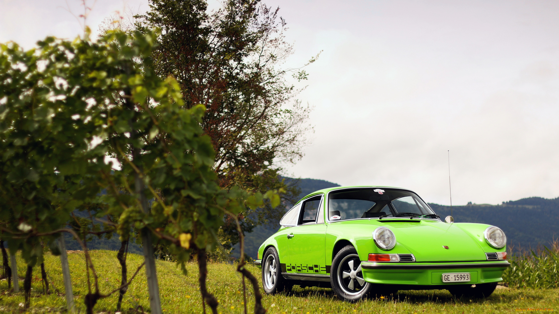 автомобили, porsche