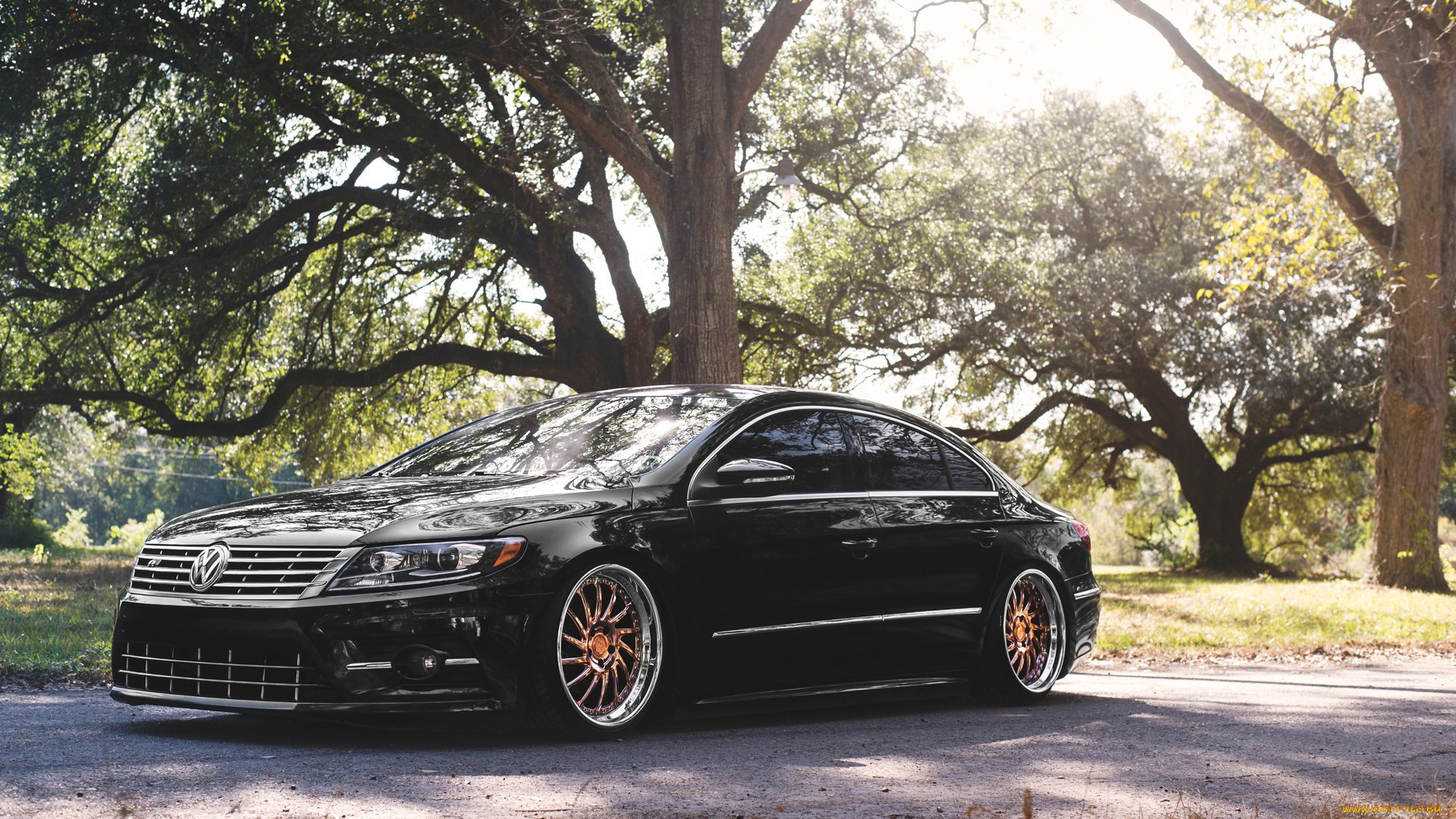 автомобили, volkswagen, vw