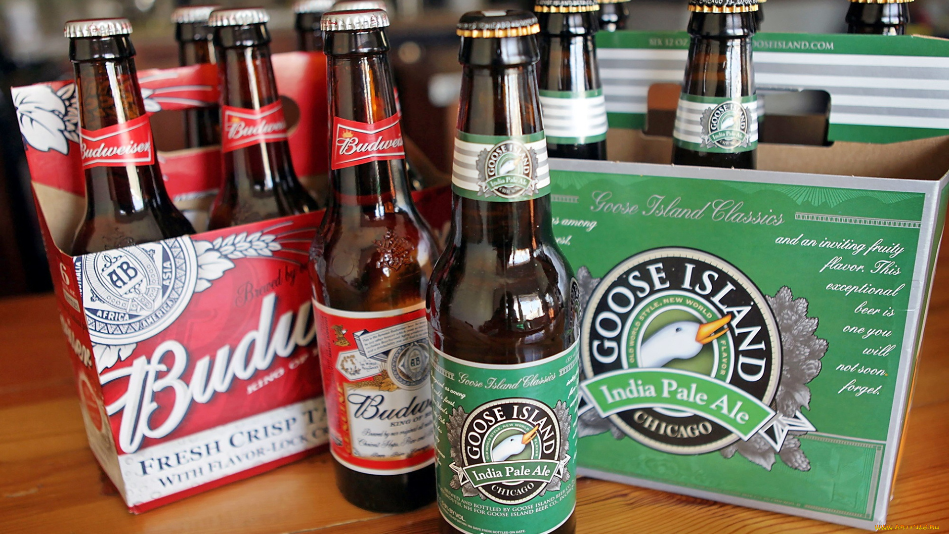 бренды, budweiser, пиво