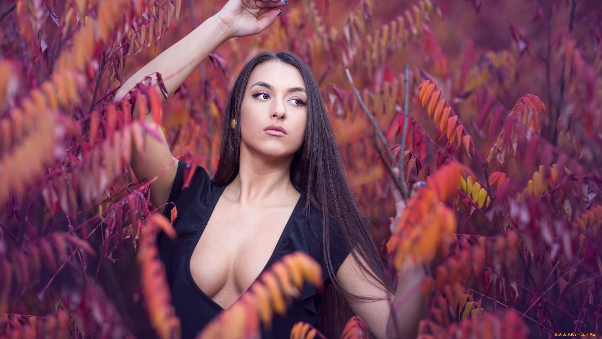 девушка, девушки, -unsort, , брюнетки, темноволосые, модель