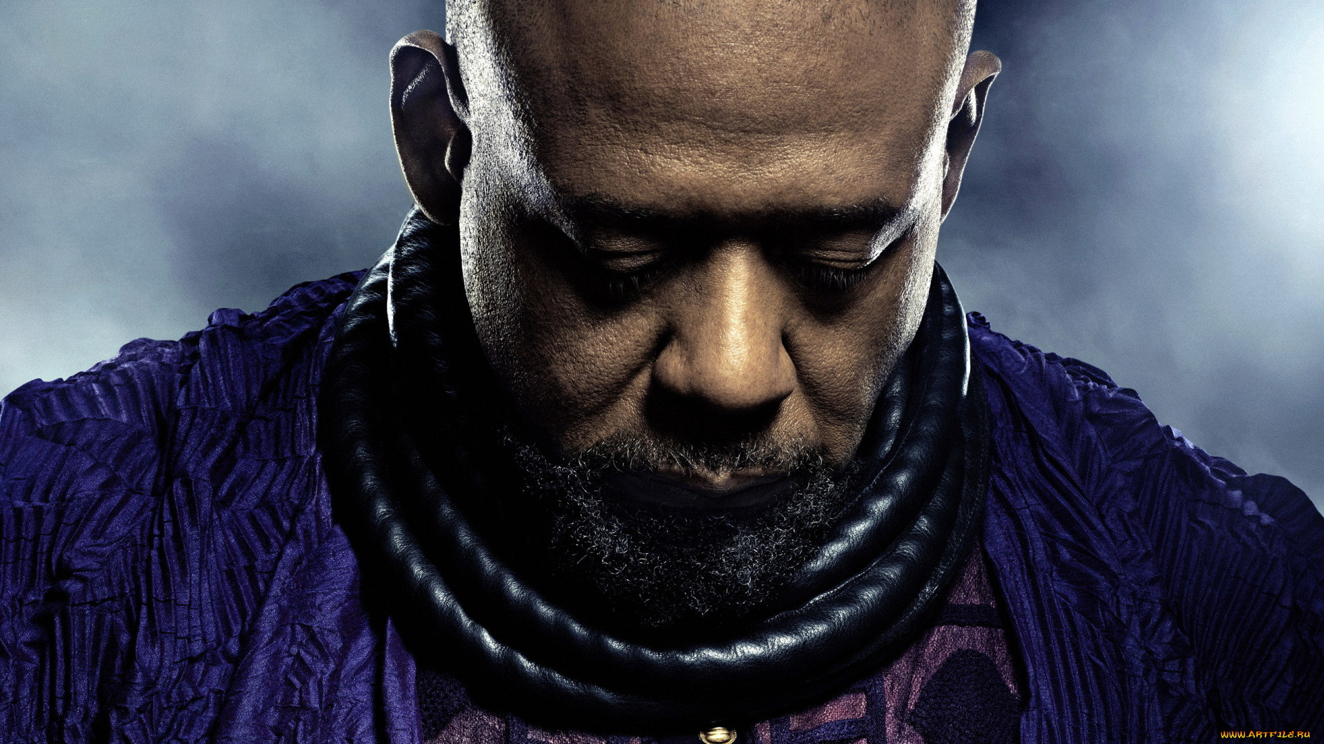 кино, фильмы, black, panther, black, panther