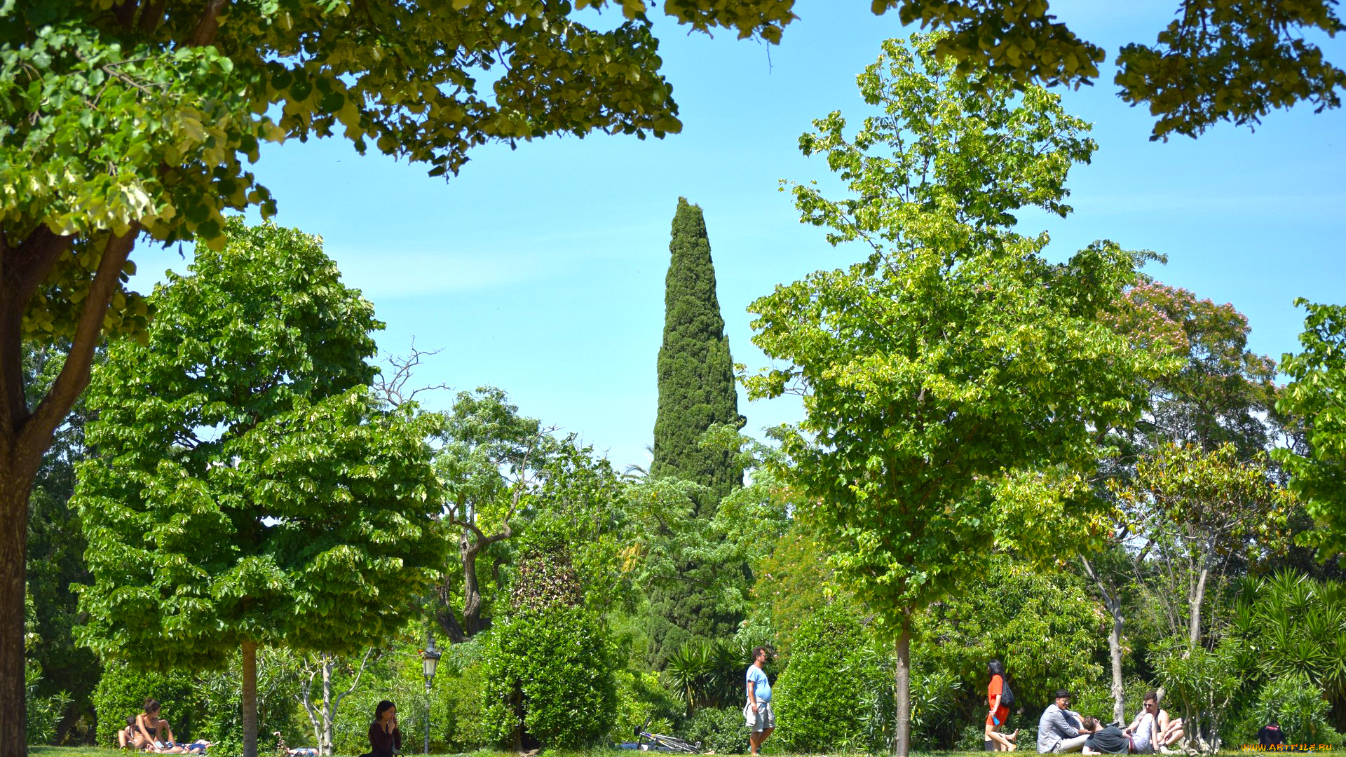 природа, парк, деревья, люди, растения