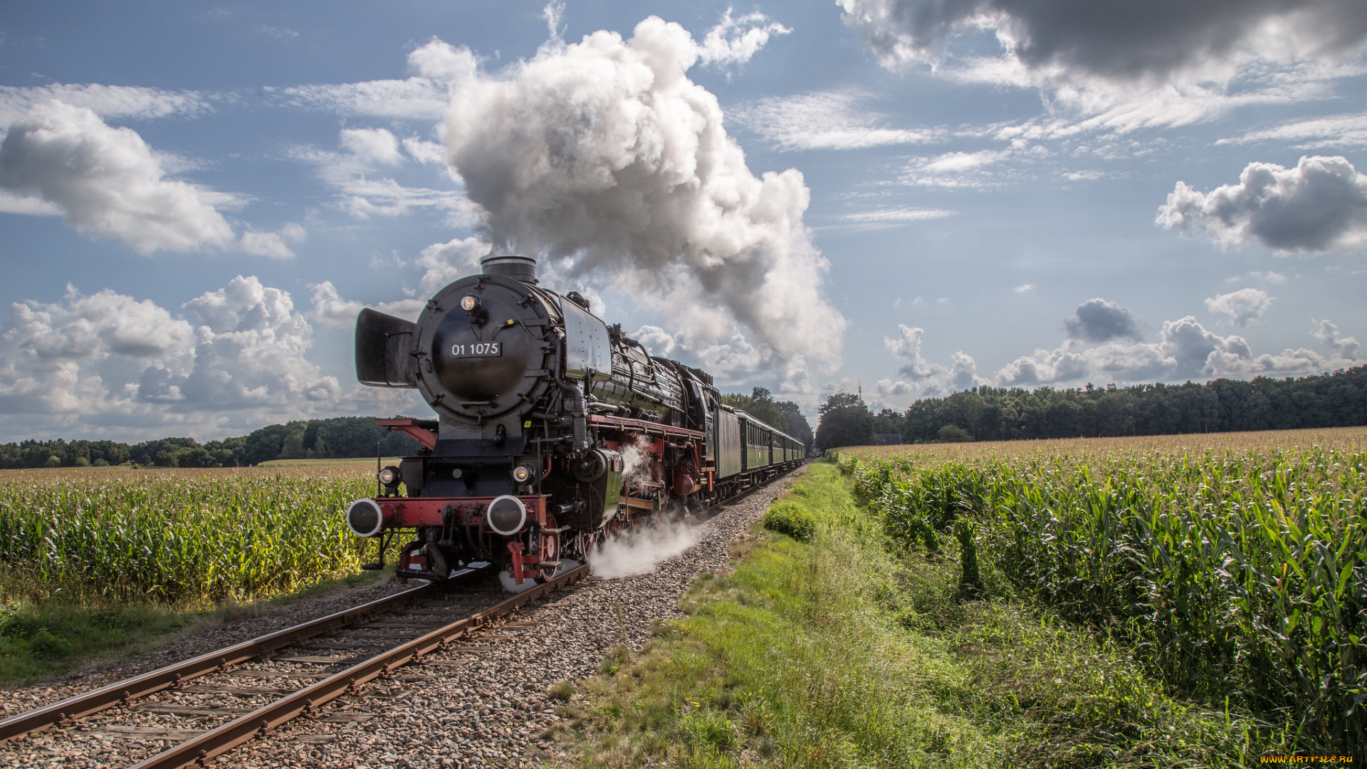 техника, паровозы, состав, локомотив