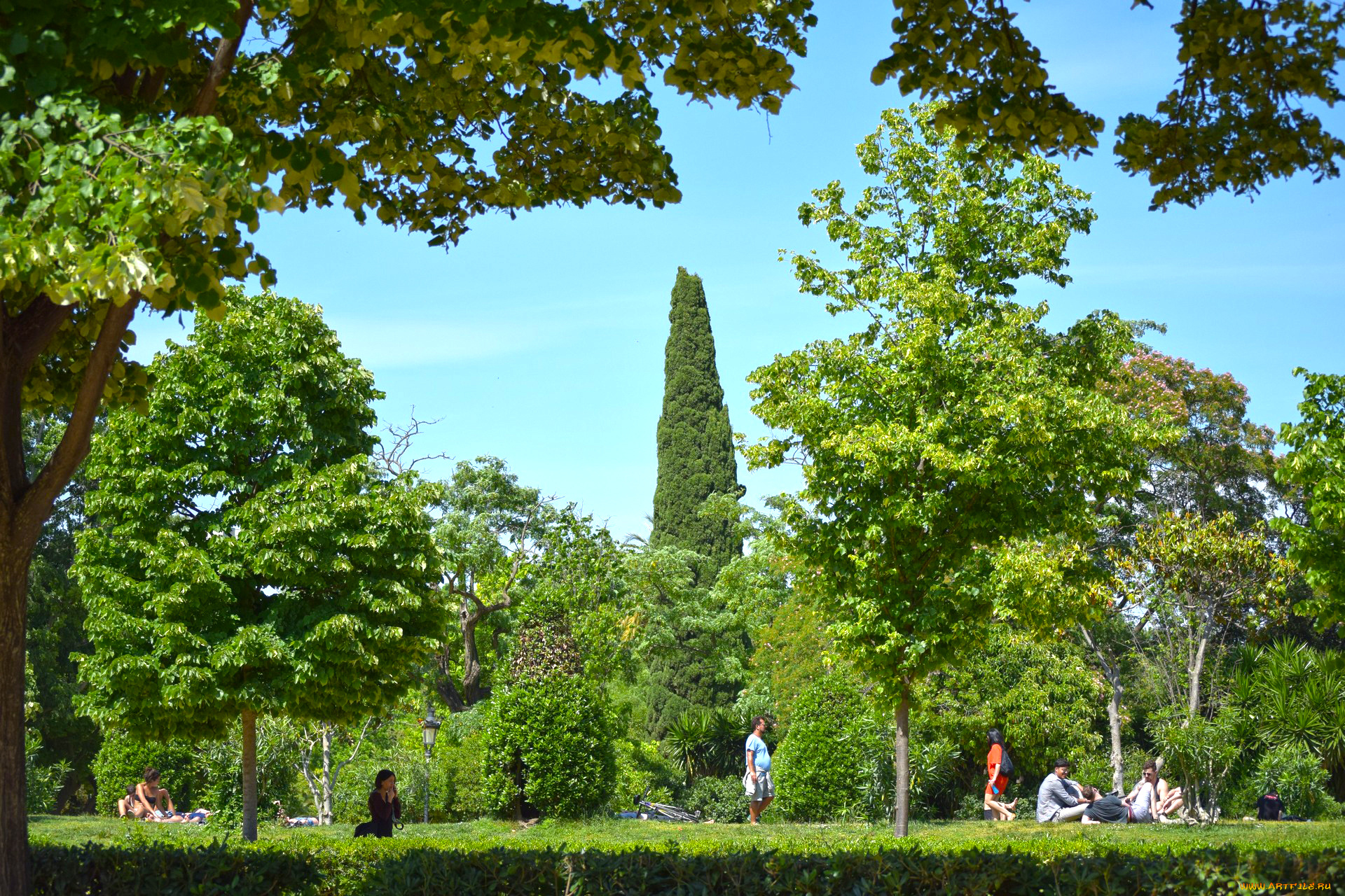 природа, парк, деревья, люди, растения