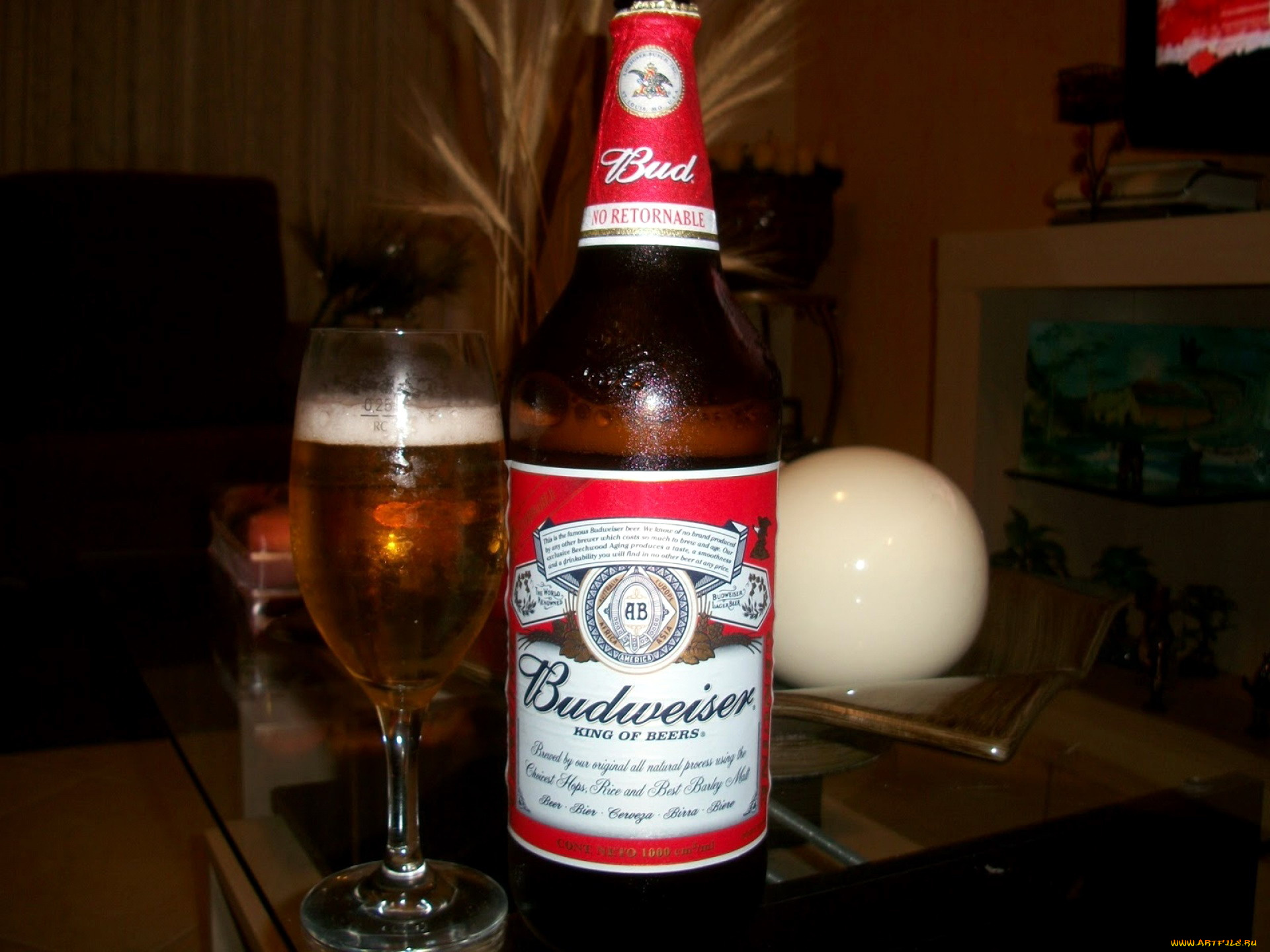 бренды, budweiser, пиво
