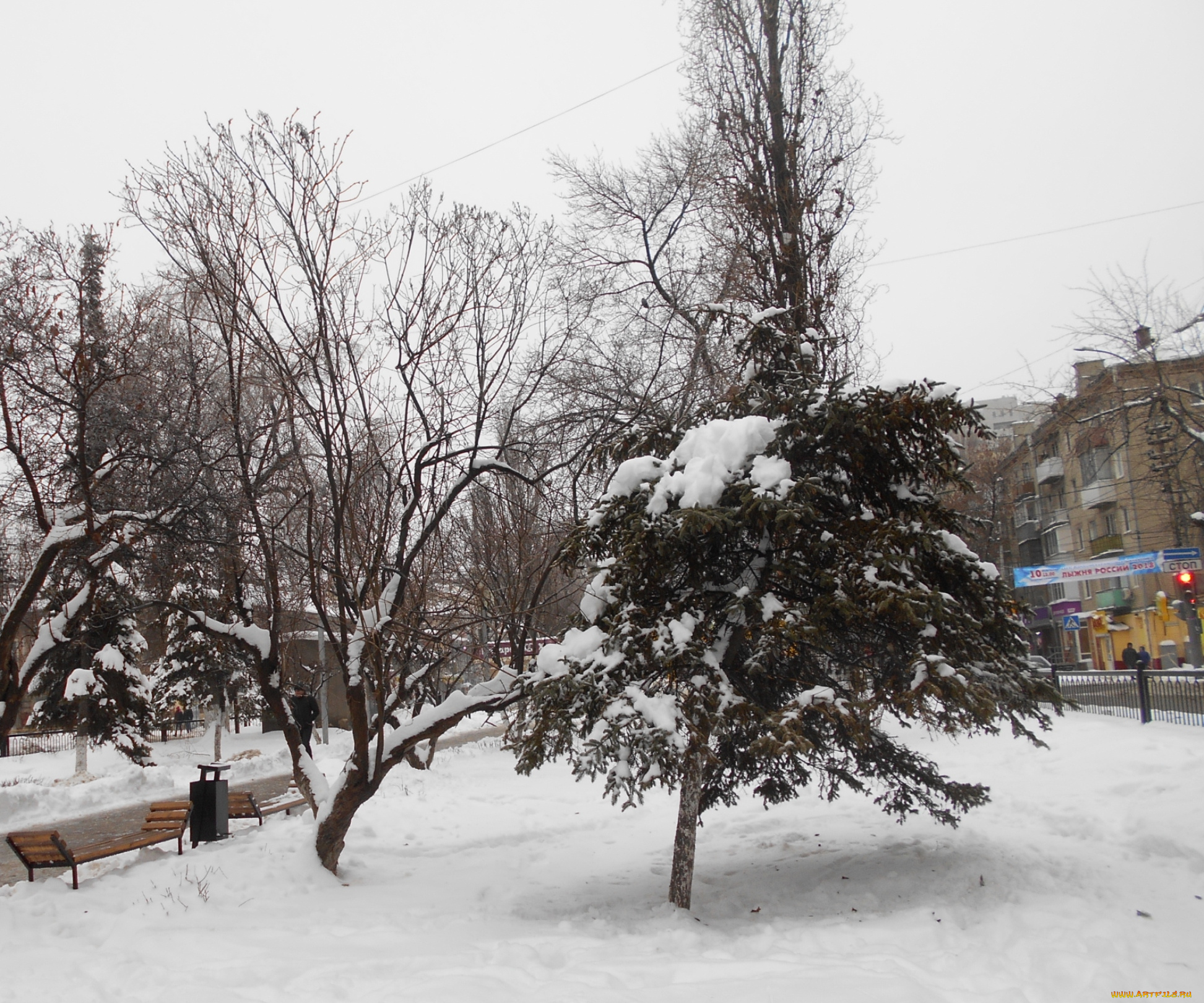 города, -, пейзажи, улица, зима, город