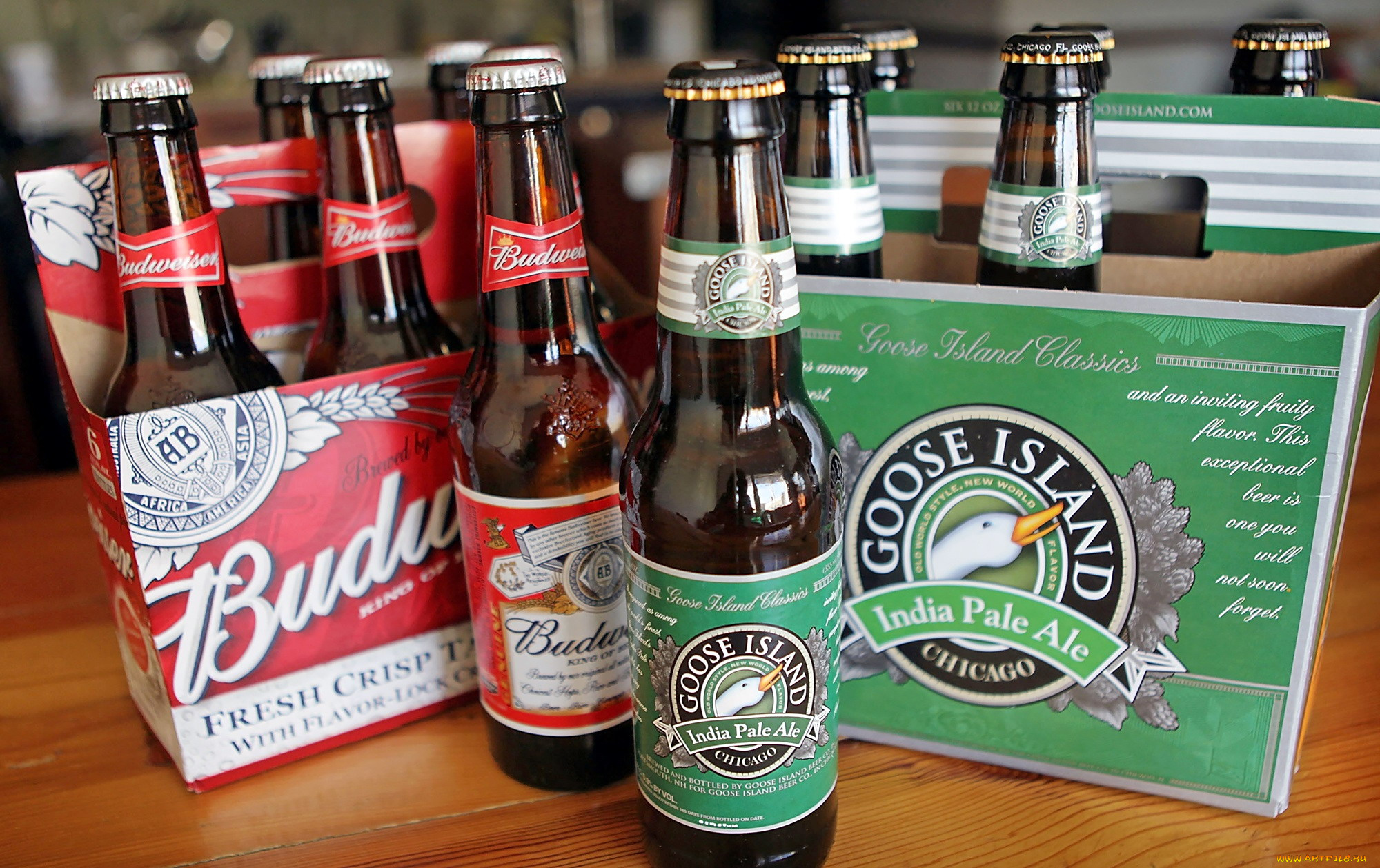 бренды, budweiser, пиво
