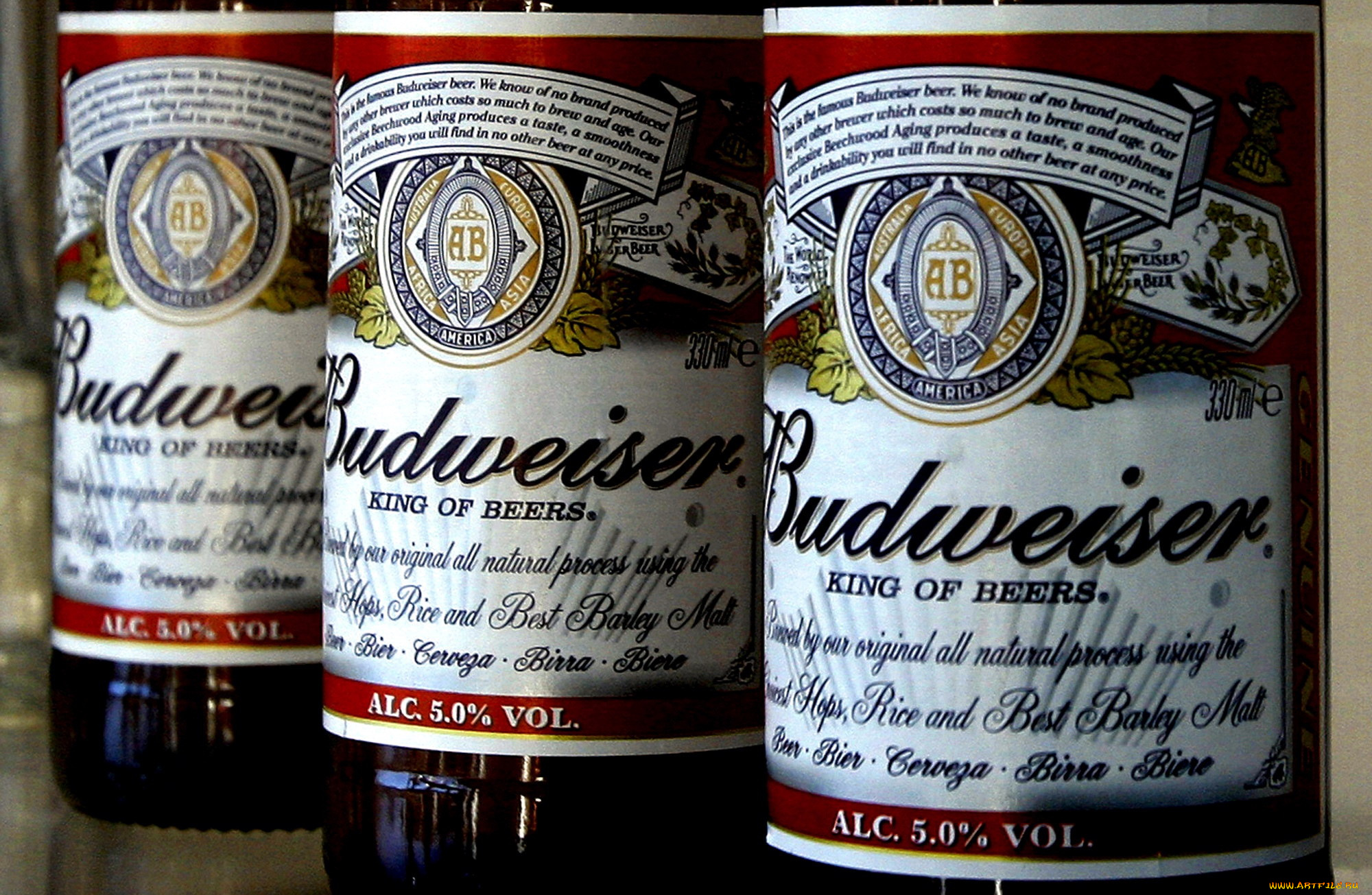 бренды, budweiser, пиво