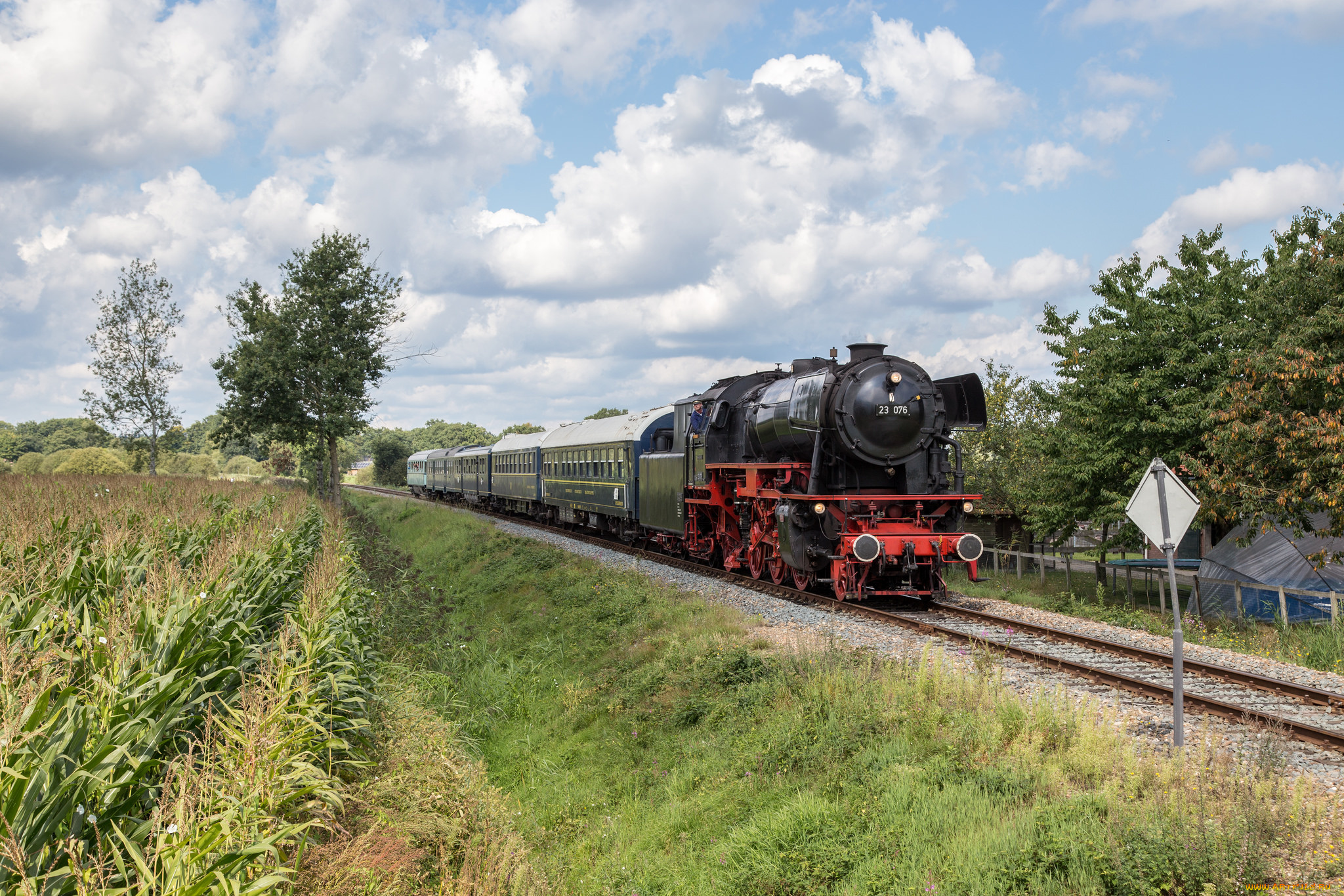 техника, паровозы, локомотив, состав