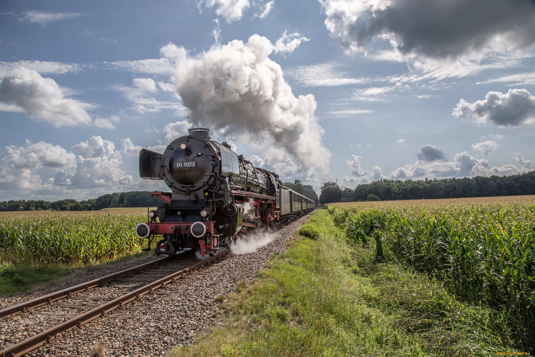 техника, паровозы, состав, локомотив