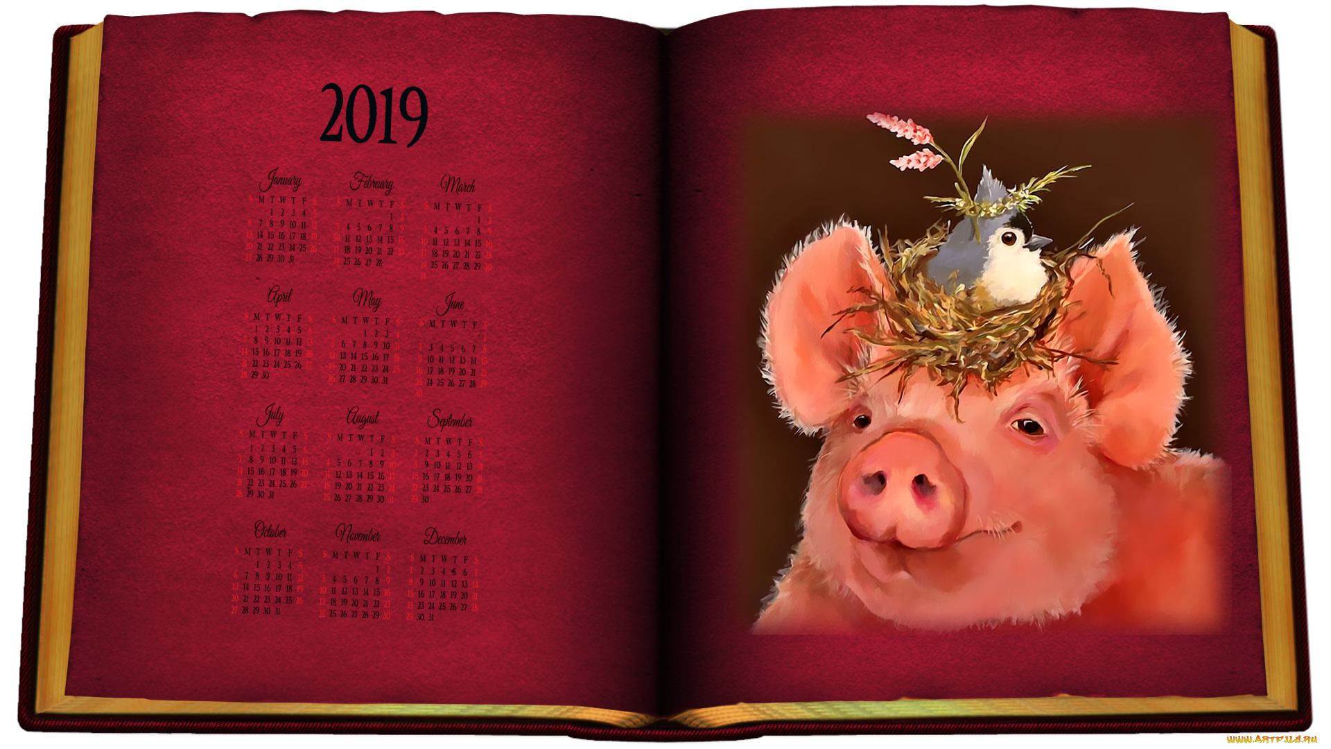 календари, компьютерный, дизайн, гнездо, свинья, птица, поросенок, книга