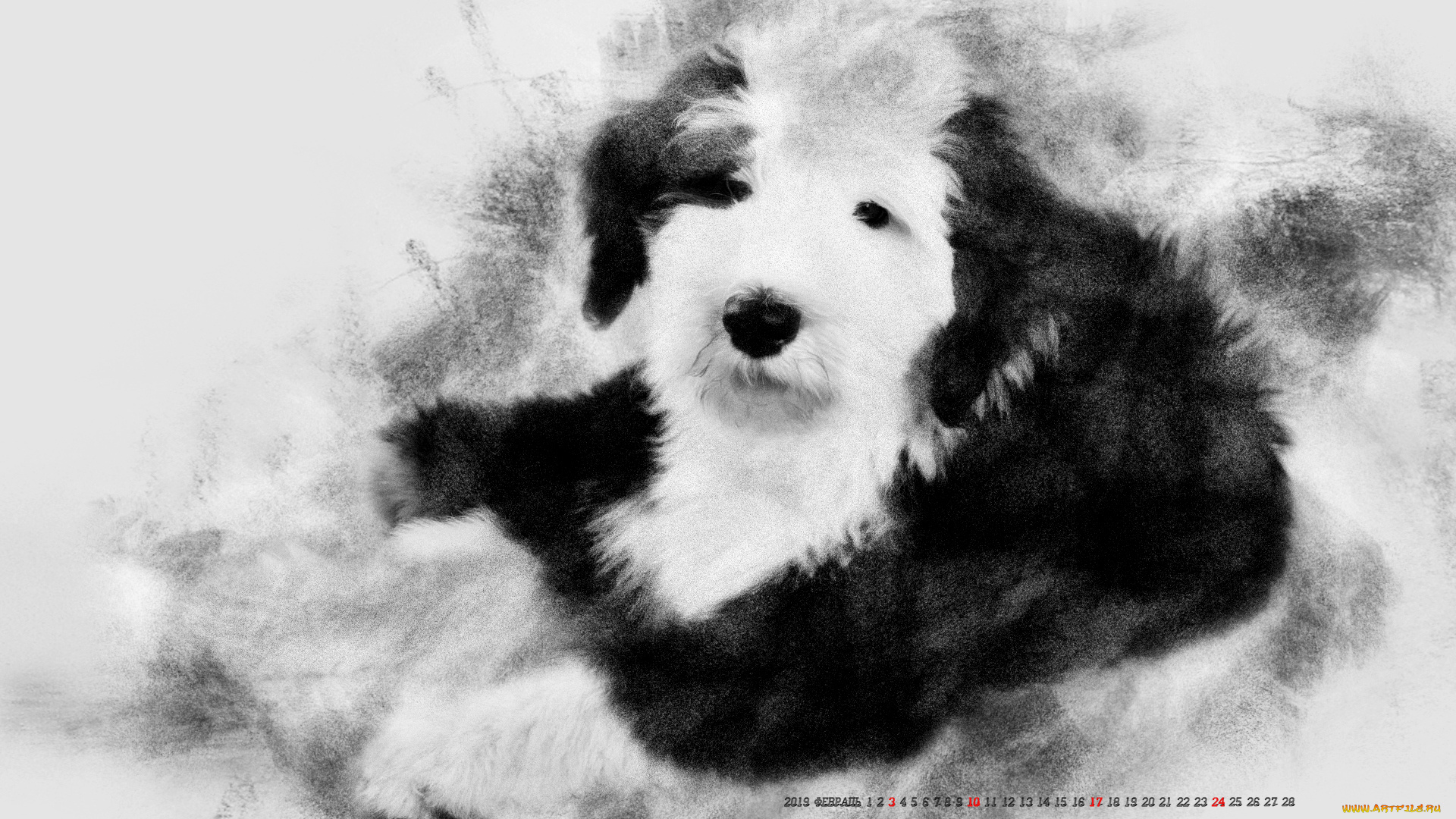 календари, компьютерный, дизайн, собака, животное