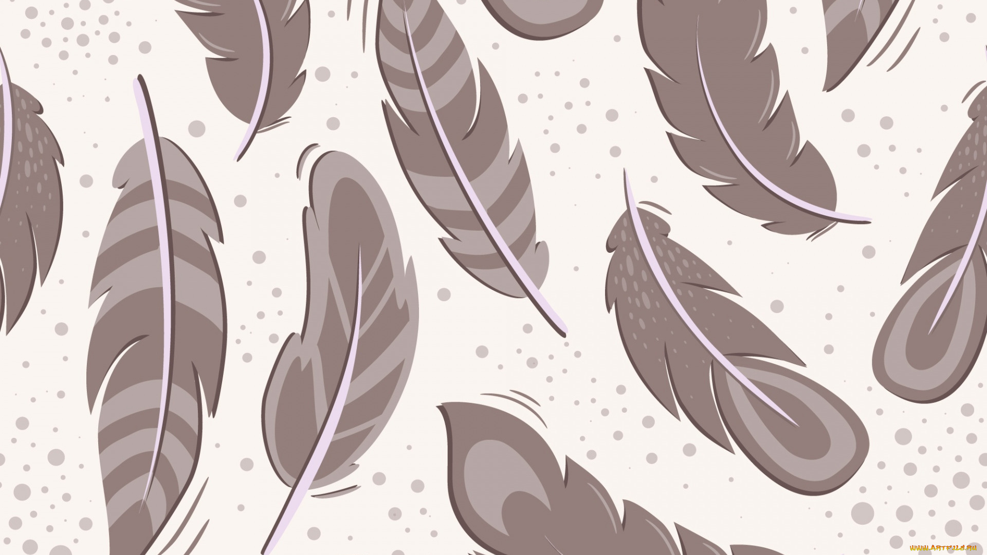 векторная, графика, другое, , other, фон, перья