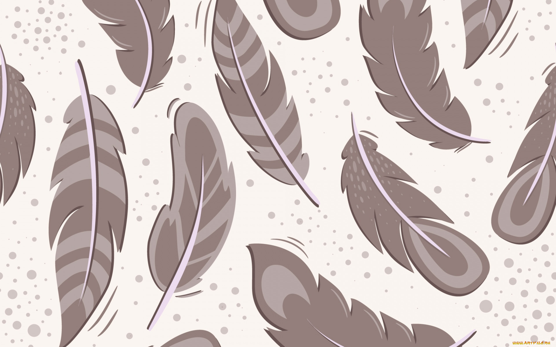 векторная, графика, другое, , other, фон, перья