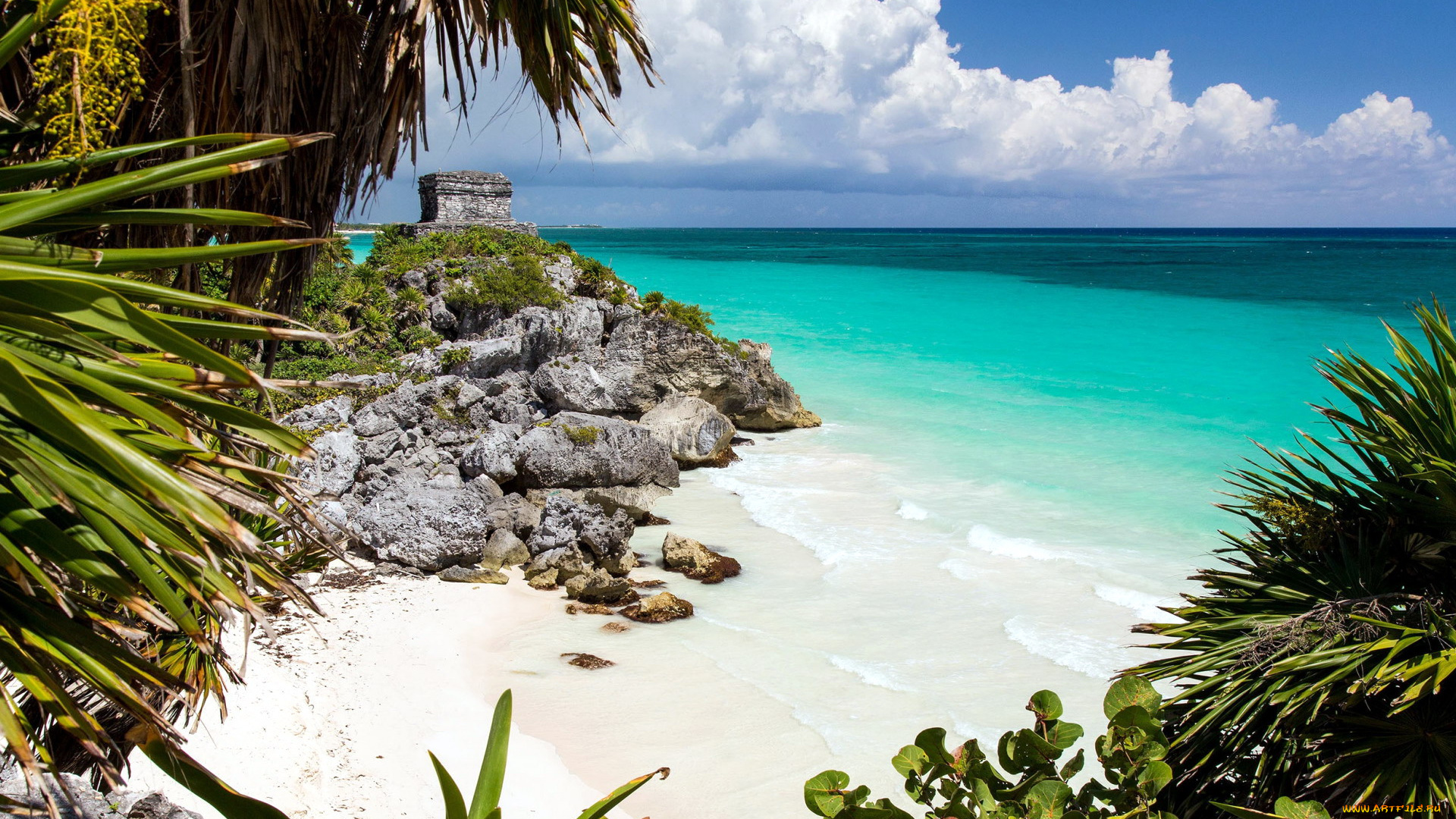 природа, тропики, скалы