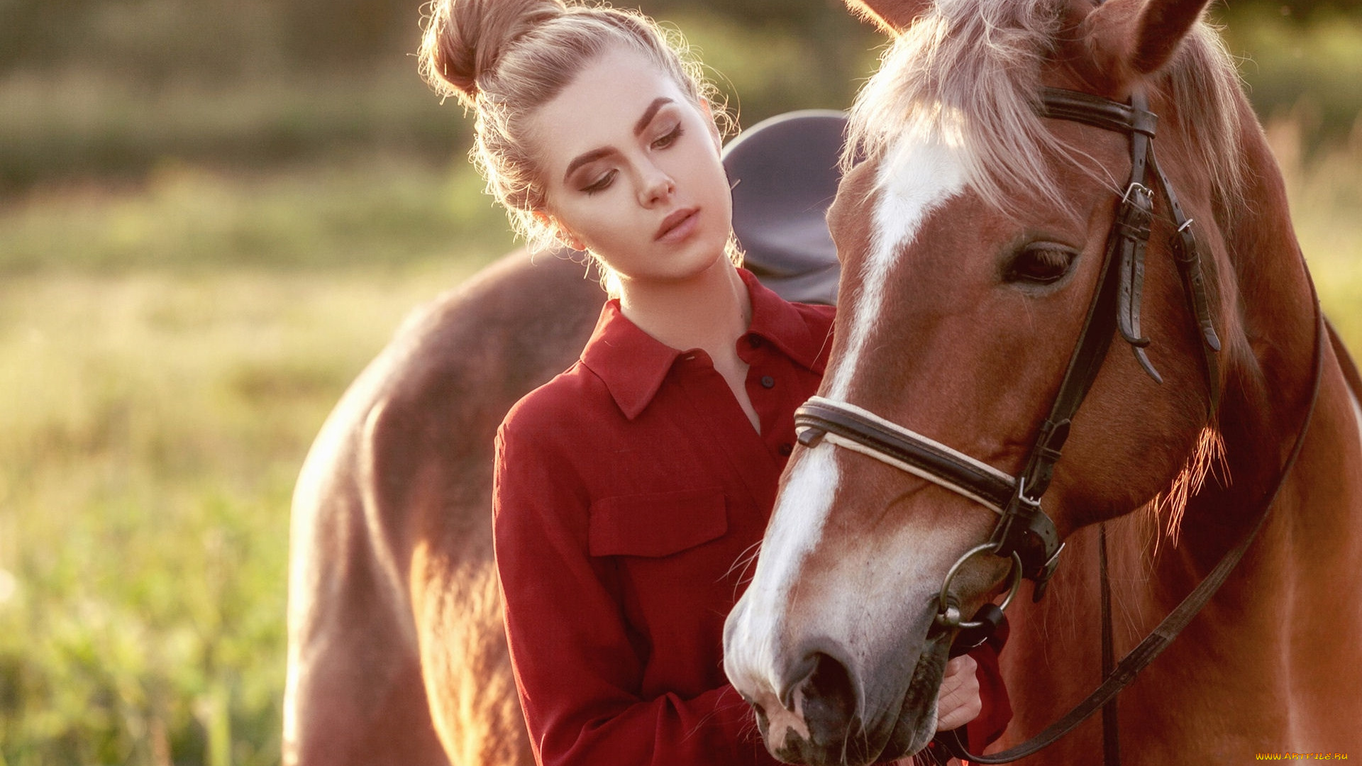девушки, -, блондинки, , светловолосые, лошадь, девушка, красное, платье
