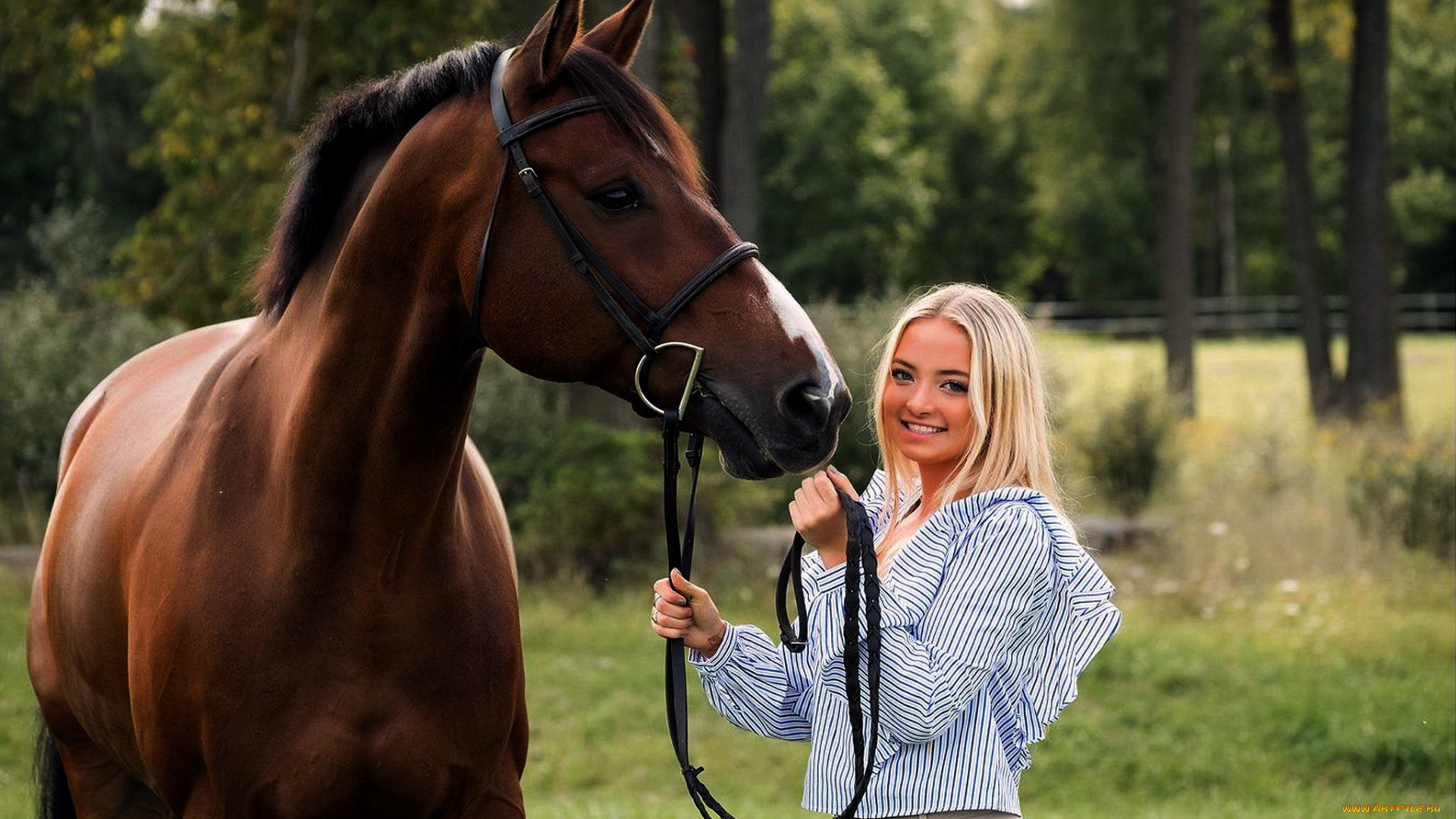 девушки, -, блондинки, , светловолосые, лошадь, блондинка, улыбка