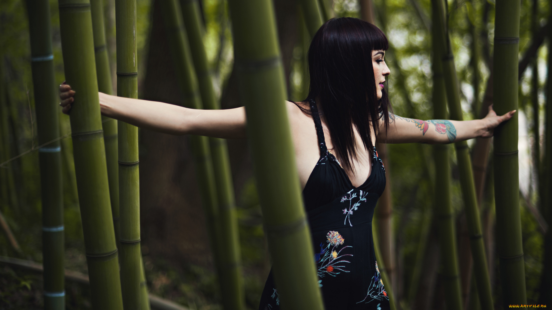 девушки, -, брюнетки, , шатенки, kara