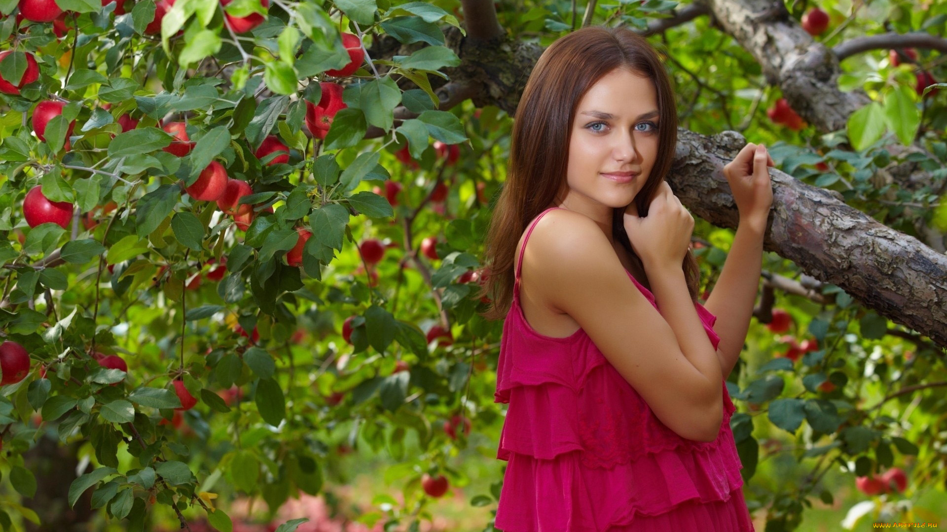 девушки, -, брюнетки, , шатенки, сад, яблоня, шатенка, яблоки, платье, zlatka, a
