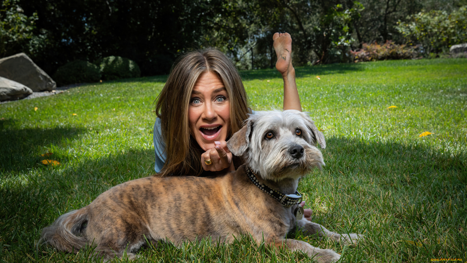 девушки, jennifer, aniston, эмоции, собака, лужайка