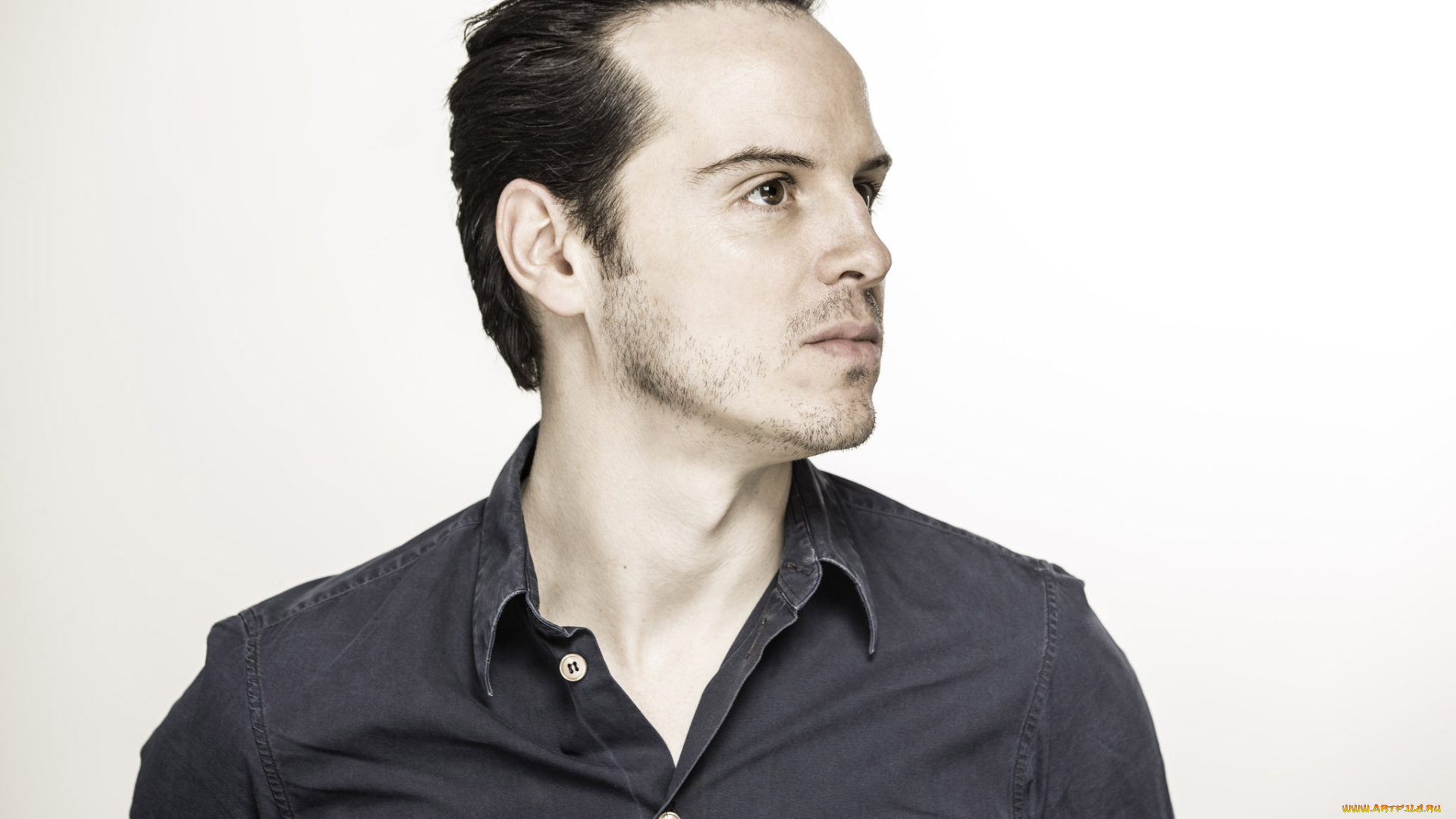 мужчины, andrew, scott, andrew, scott