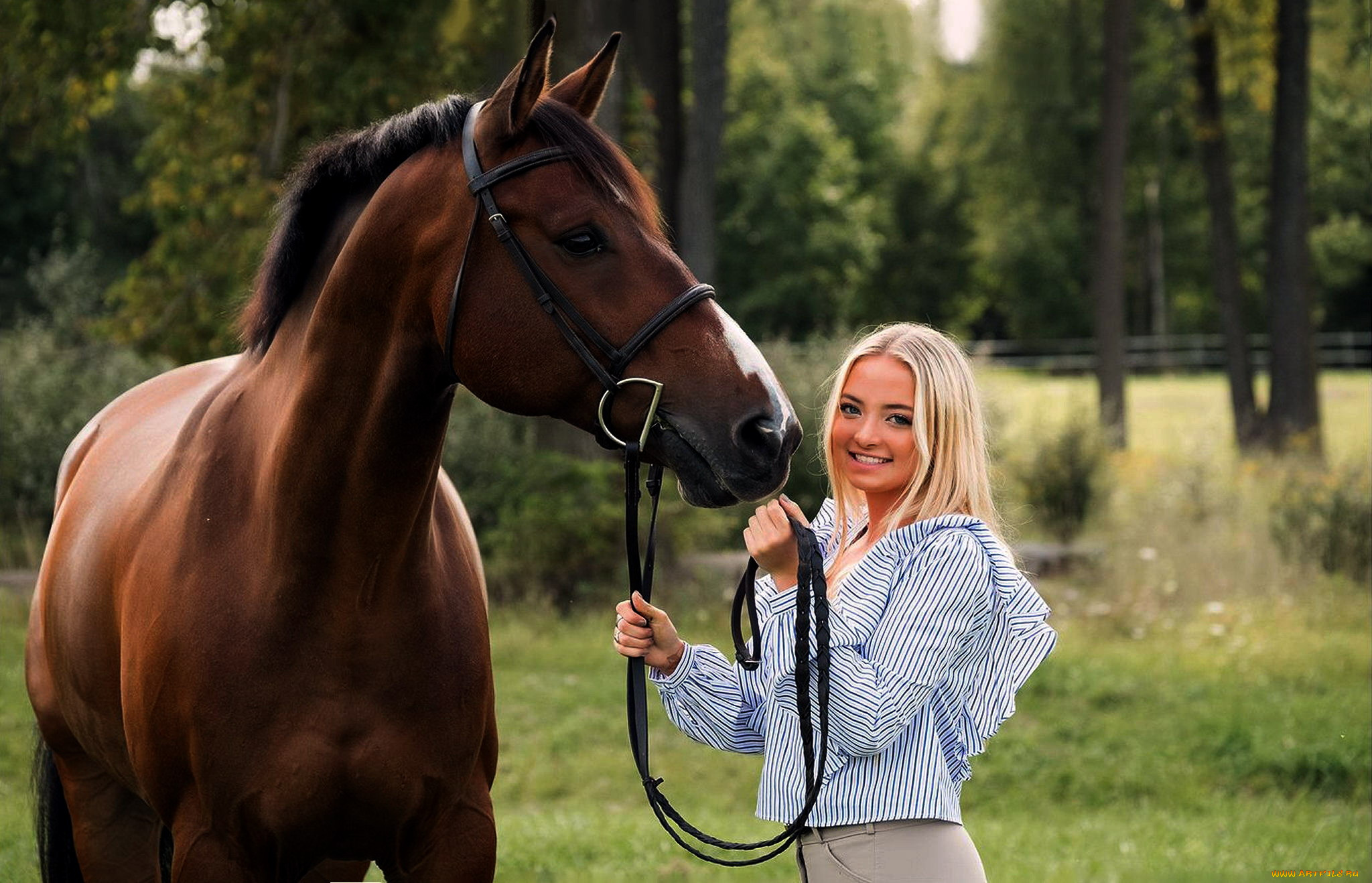 девушки, -, блондинки, , светловолосые, лошадь, блондинка, улыбка