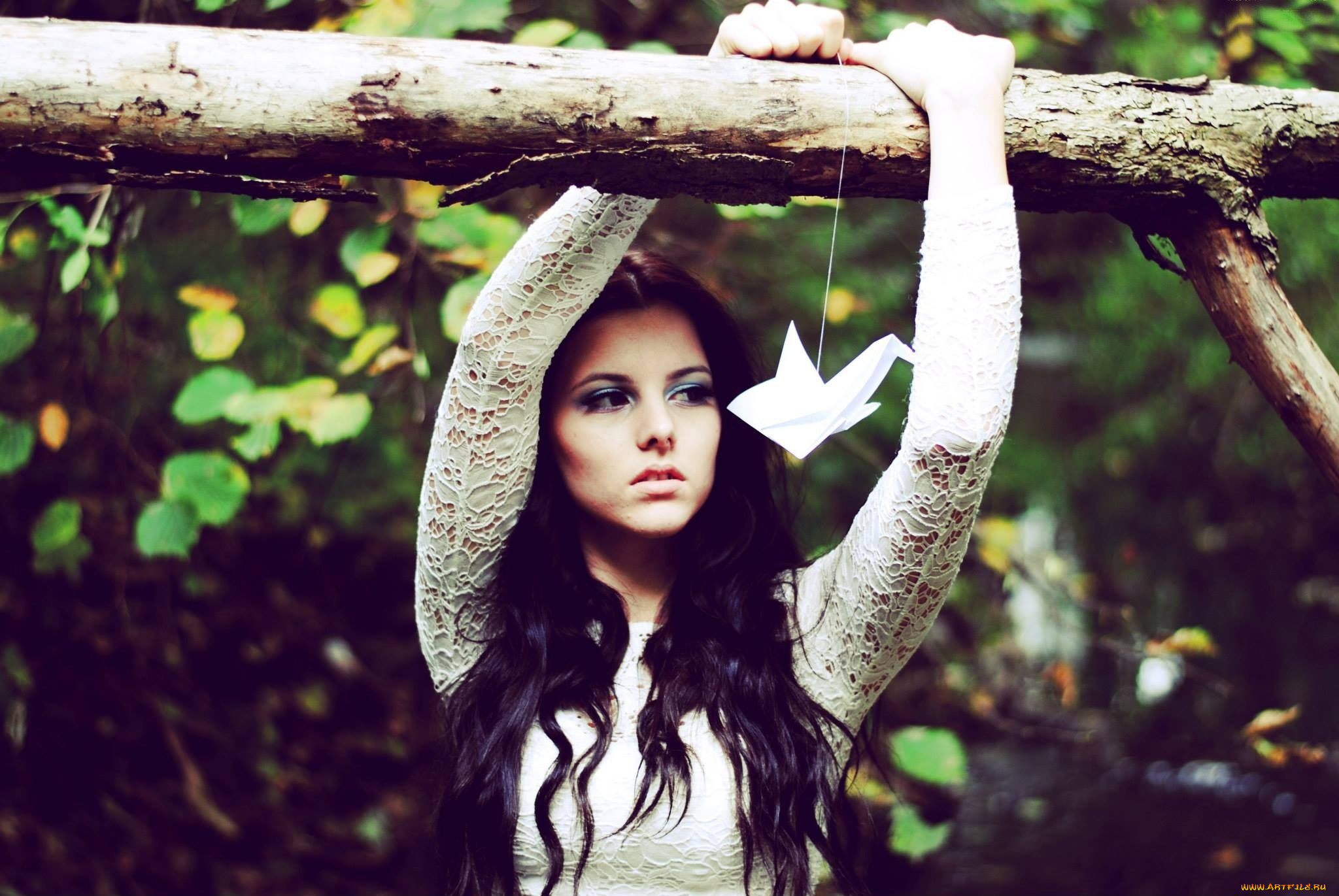 девушки, -, брюнетки, , шатенки, оригами, брюнетка, кружева