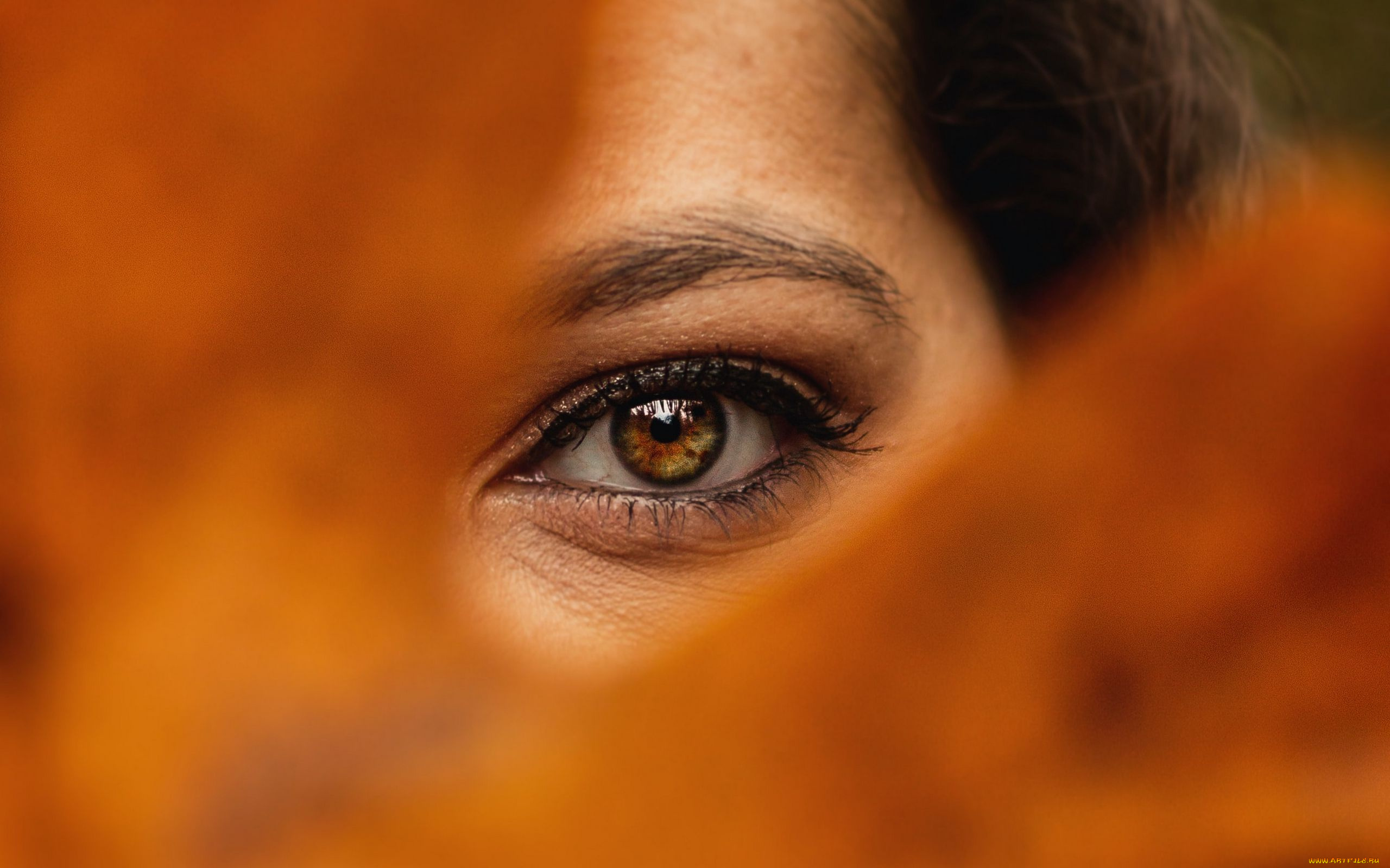 разное, глаза, глаз