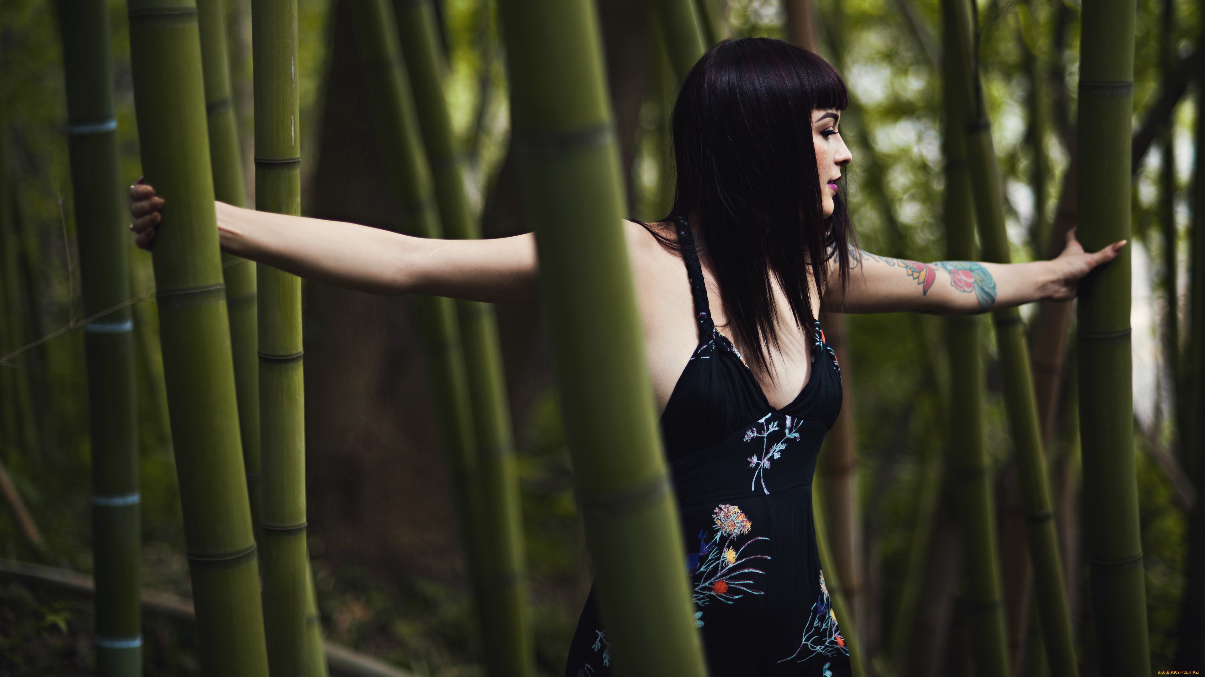 девушки, -, брюнетки, , шатенки, kara