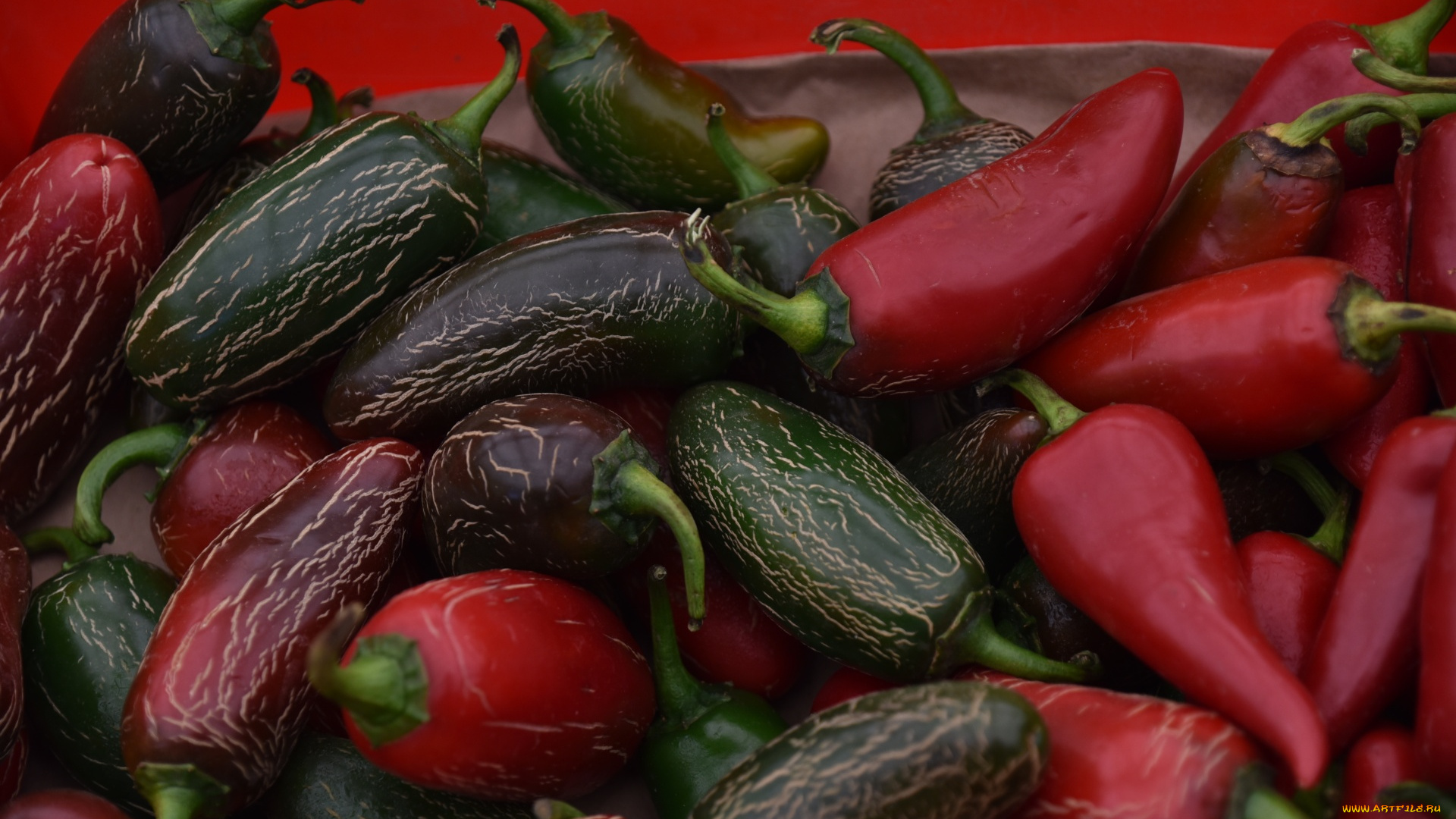 еда, перец