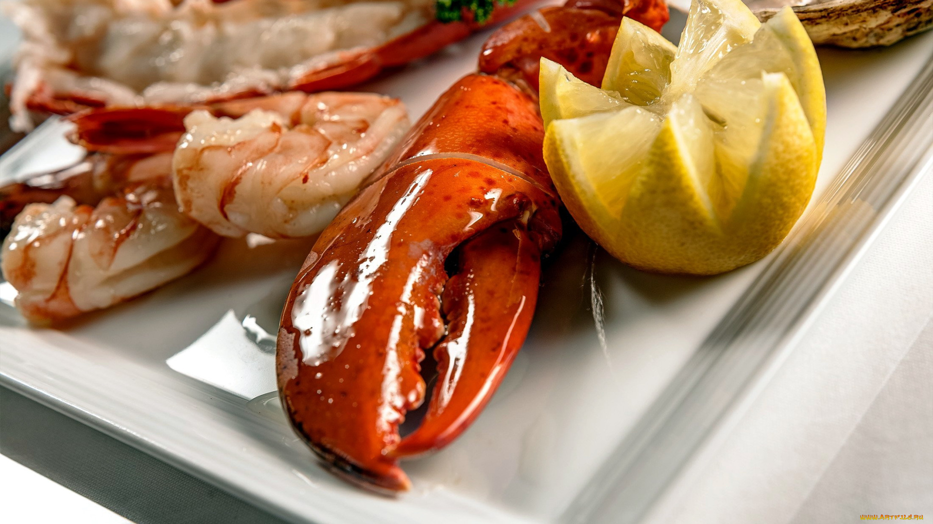 еда, рыбные, блюда, , с, морепродуктами, лобстер