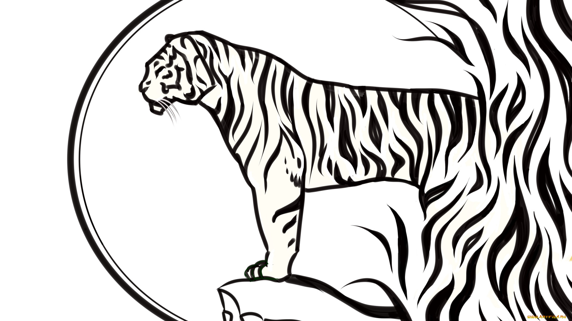 рисованное, животные, , тигры, тигр, скала