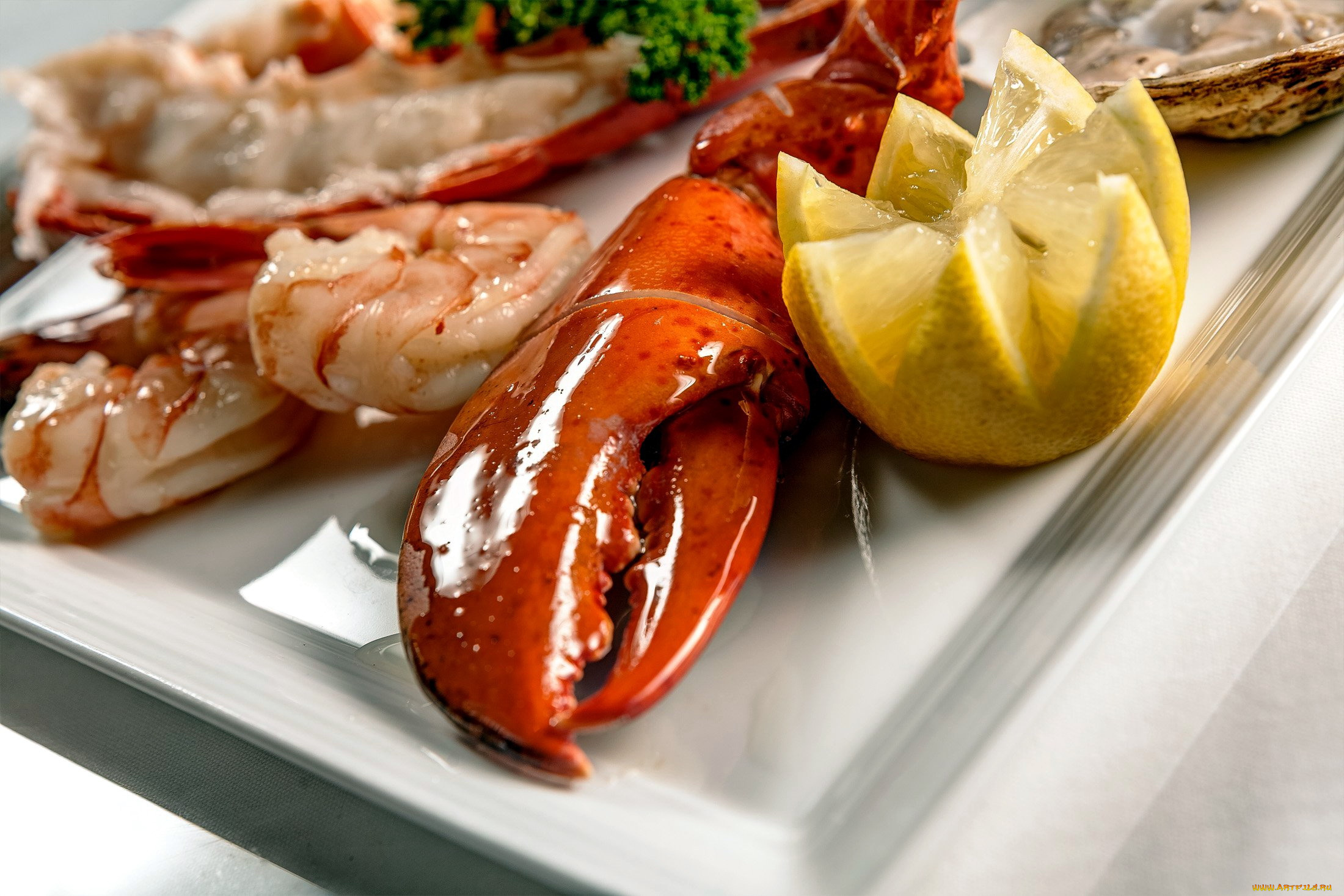 еда, рыбные, блюда, , с, морепродуктами, лобстер
