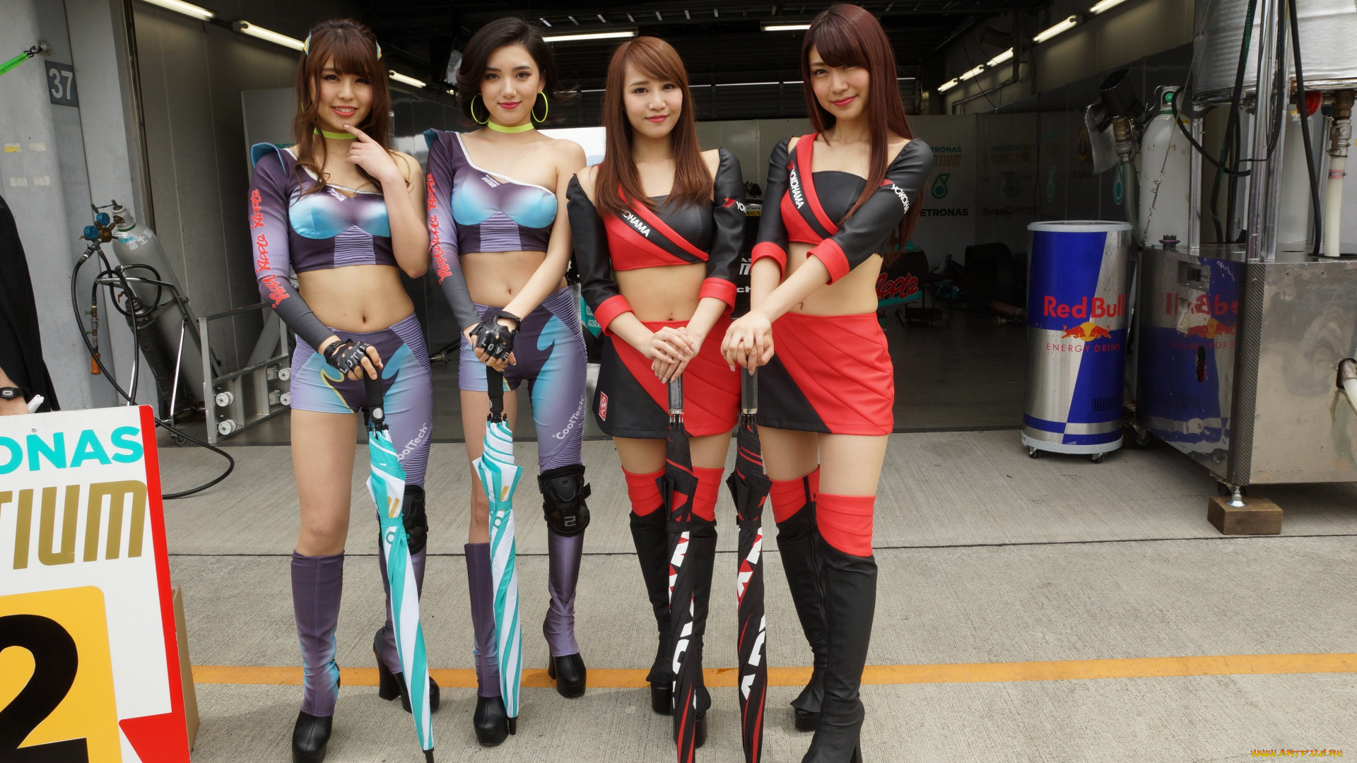 девушки, -, азиатки, группа, азиаток