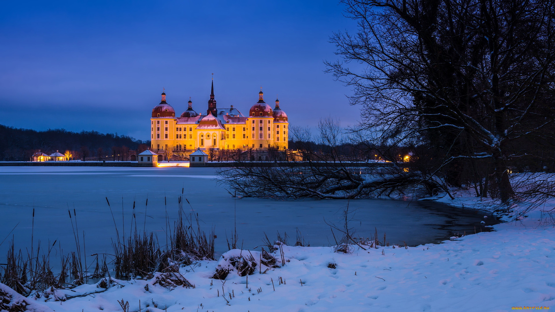 moritzburg, castle, germany, города, замок, морицбург, , германия, moritzburg, castle
