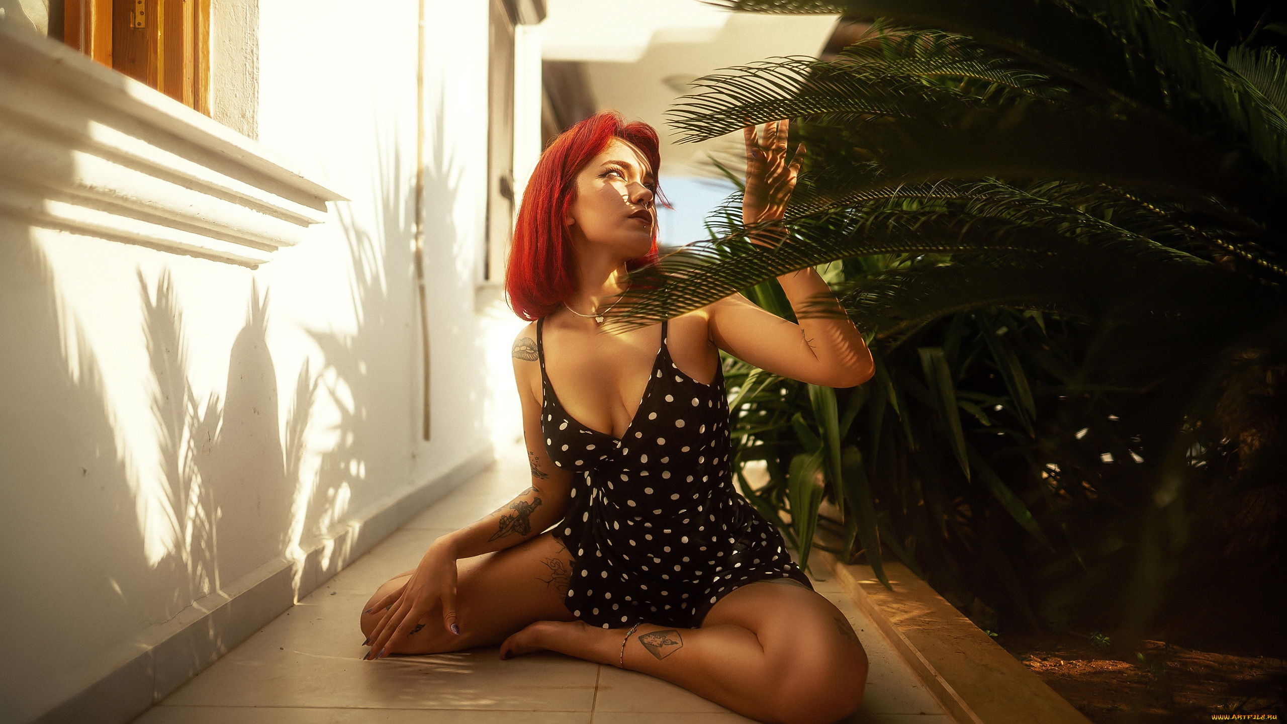 девушки, -, рыжеволосые, и, разноцветные, красивая, девушка