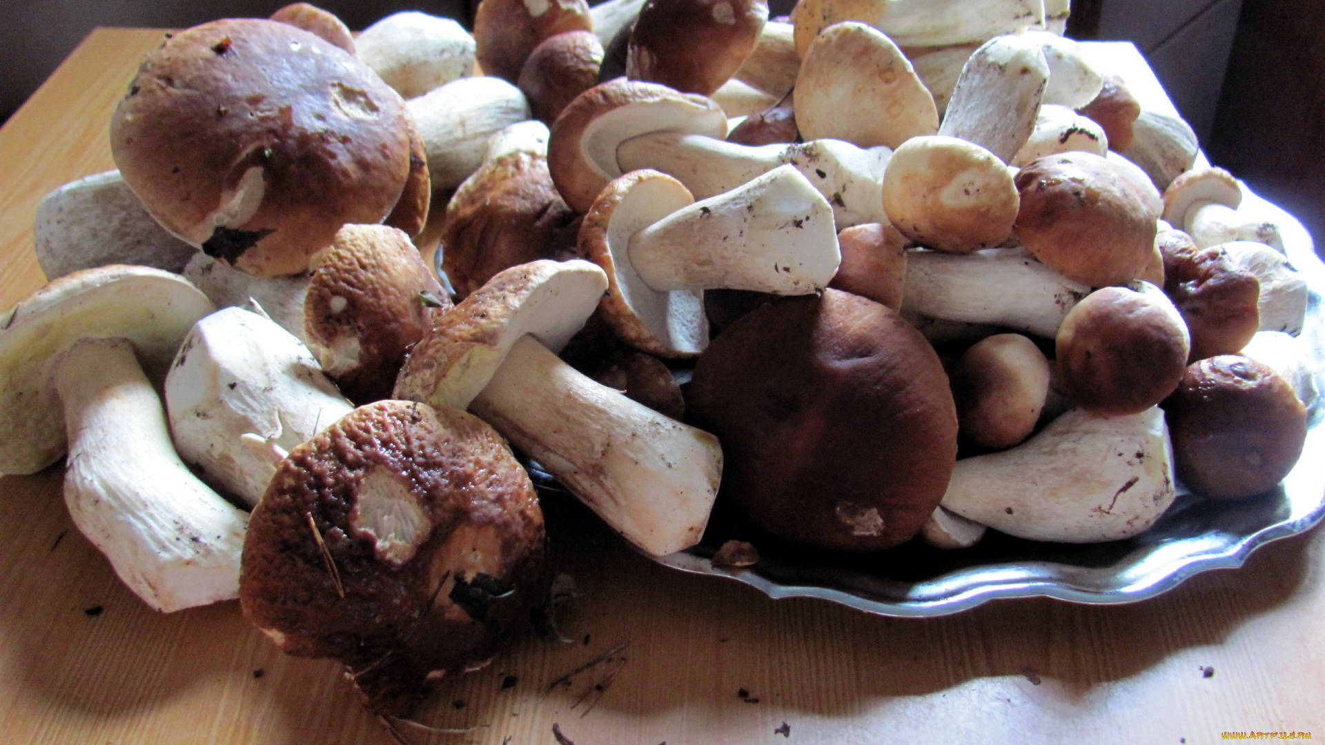 еда, грибы, , грибные, блюда, боровики