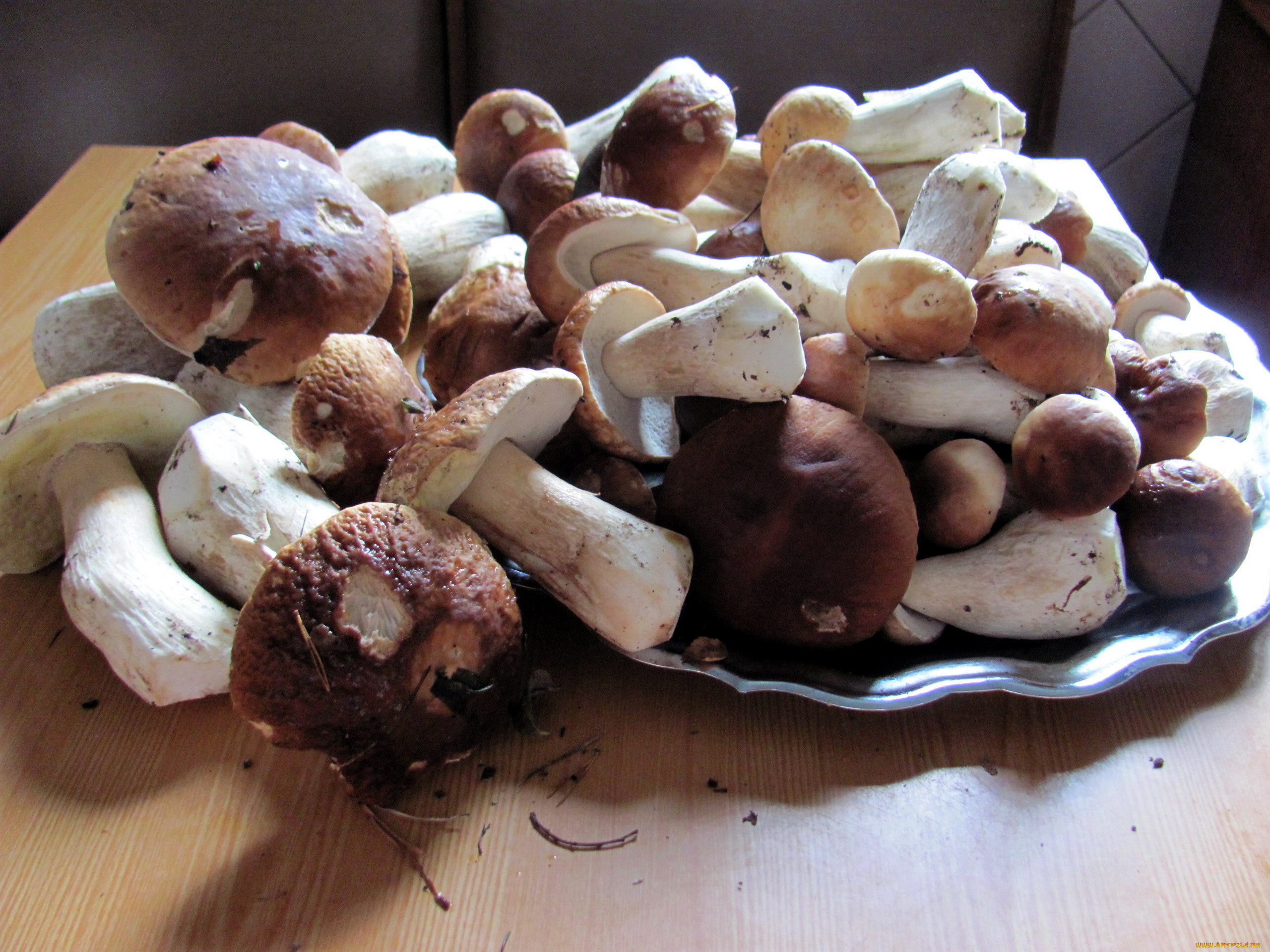 еда, грибы, , грибные, блюда, боровики