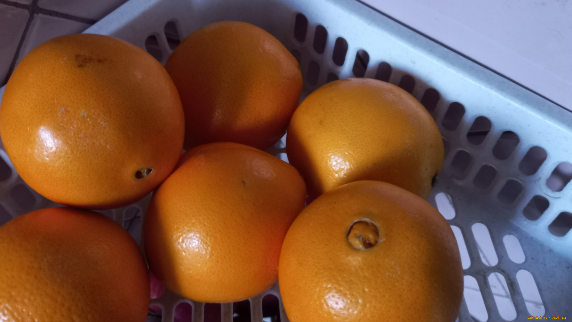 еда, цитрусы, апельсины