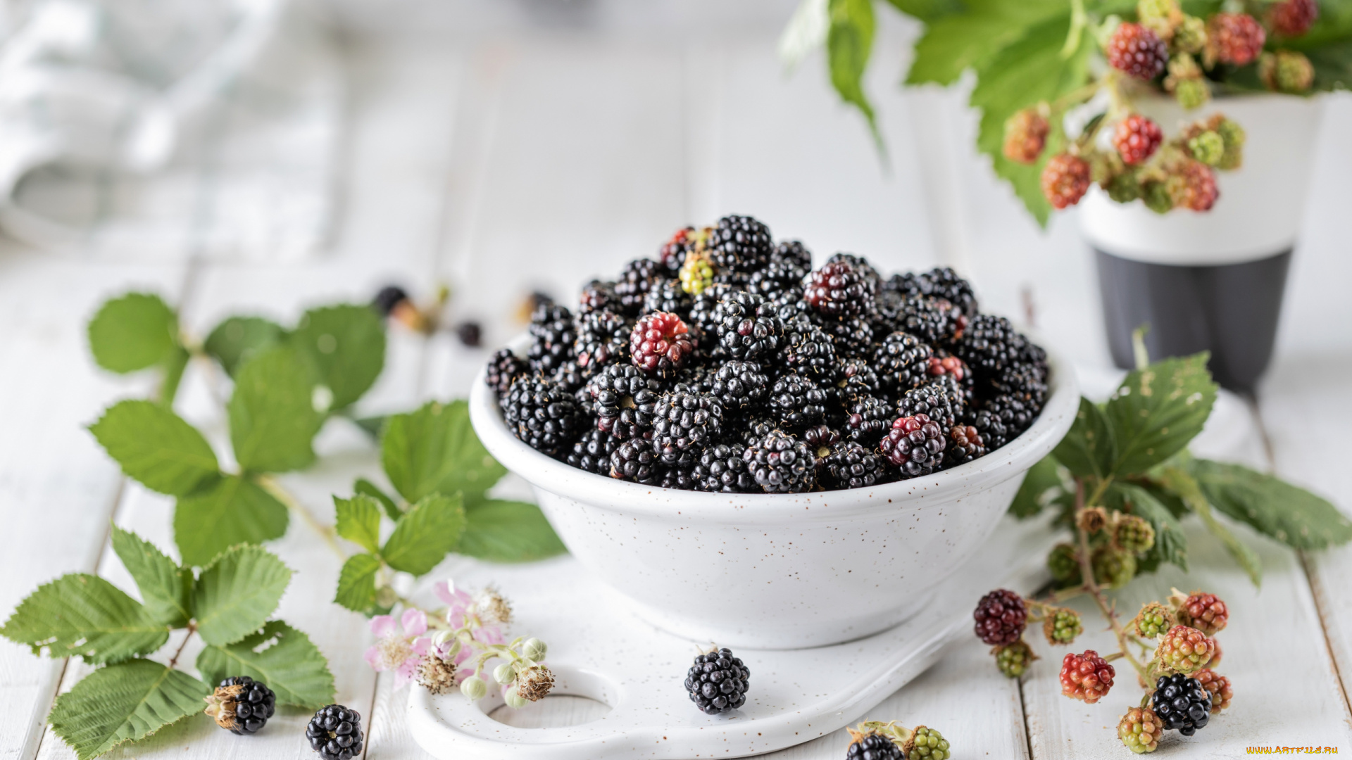 еда, ежевика, листья, ягоды