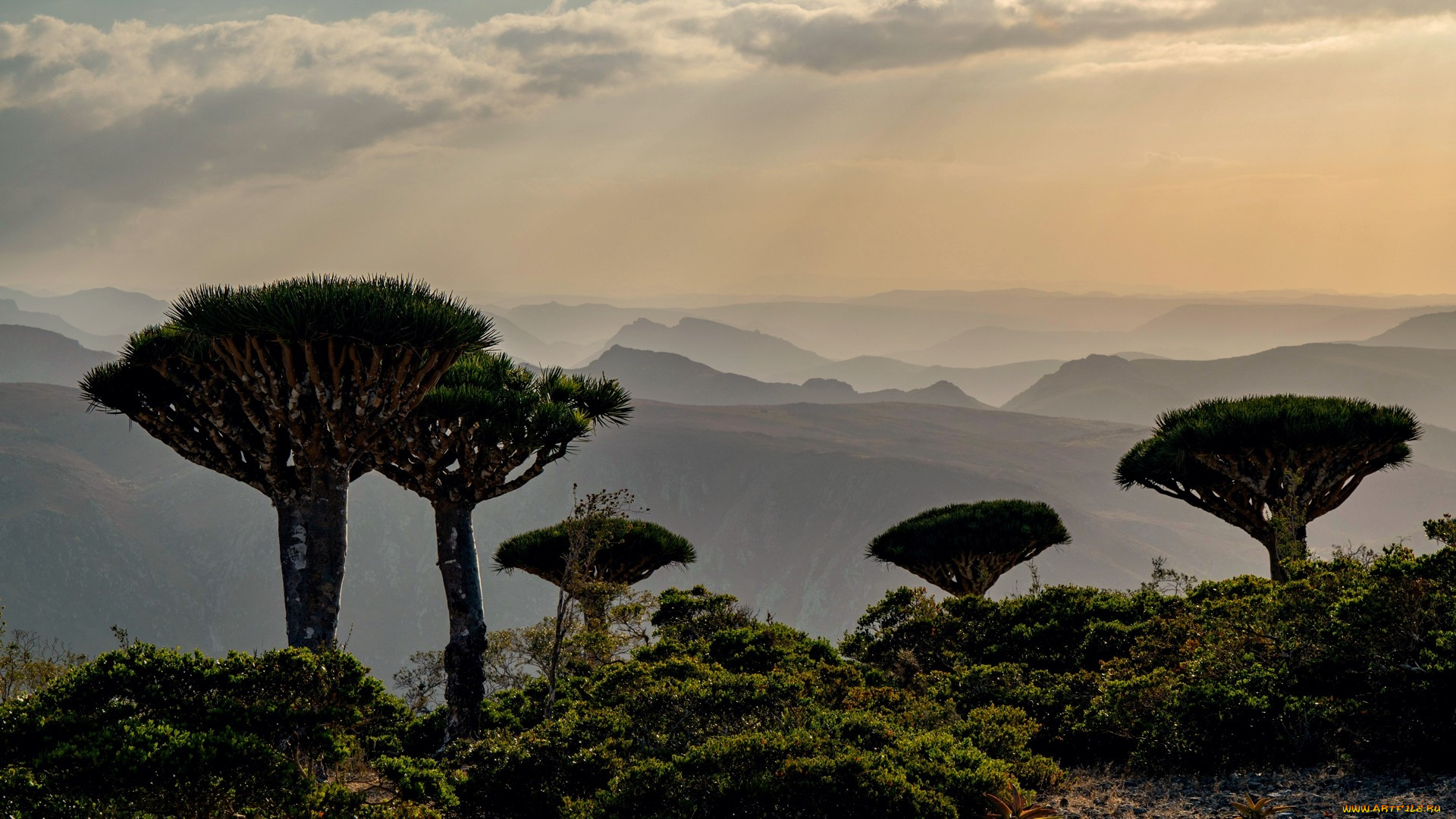 sunrise, in, socotra, island, yemen, природа, восходы, закаты, sunrise, in, socotra, island