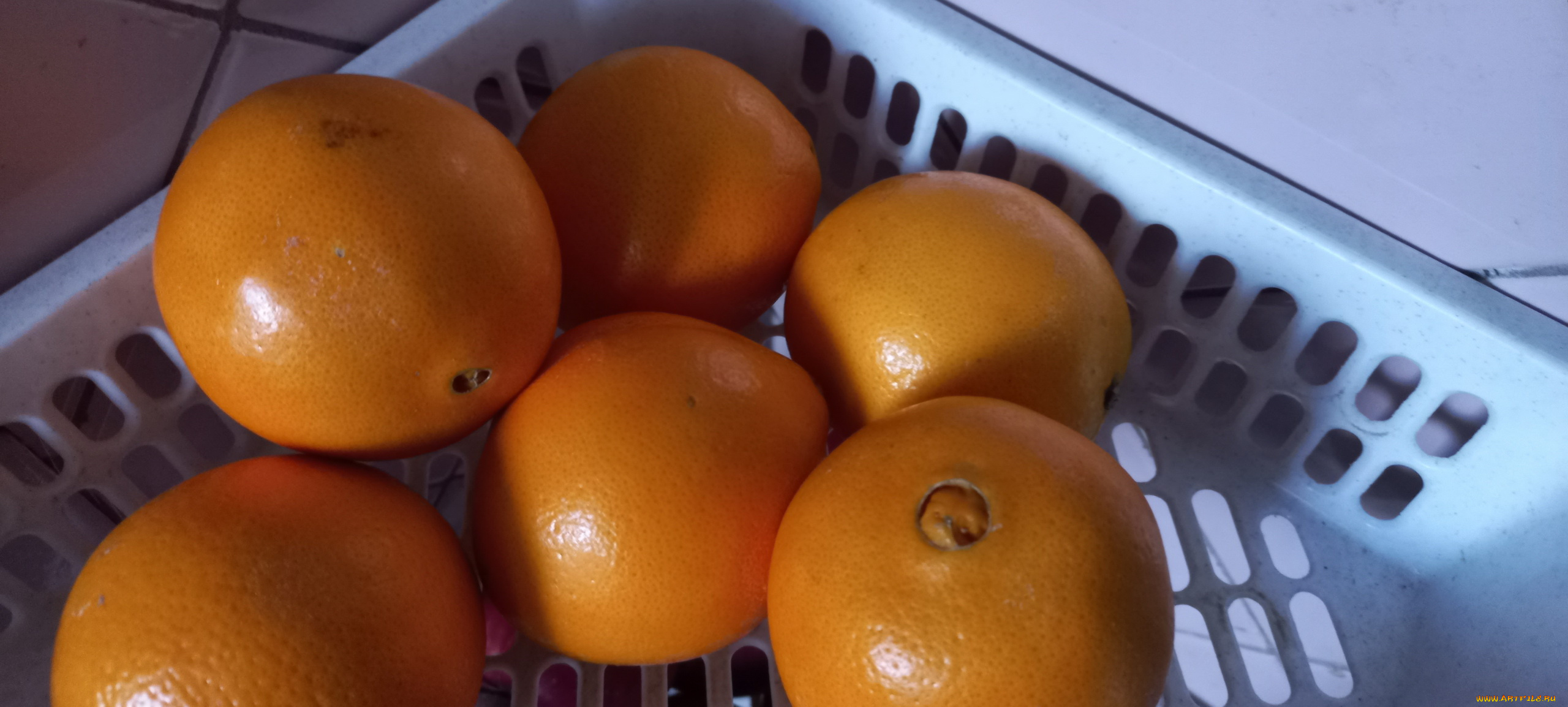 еда, цитрусы, апельсины